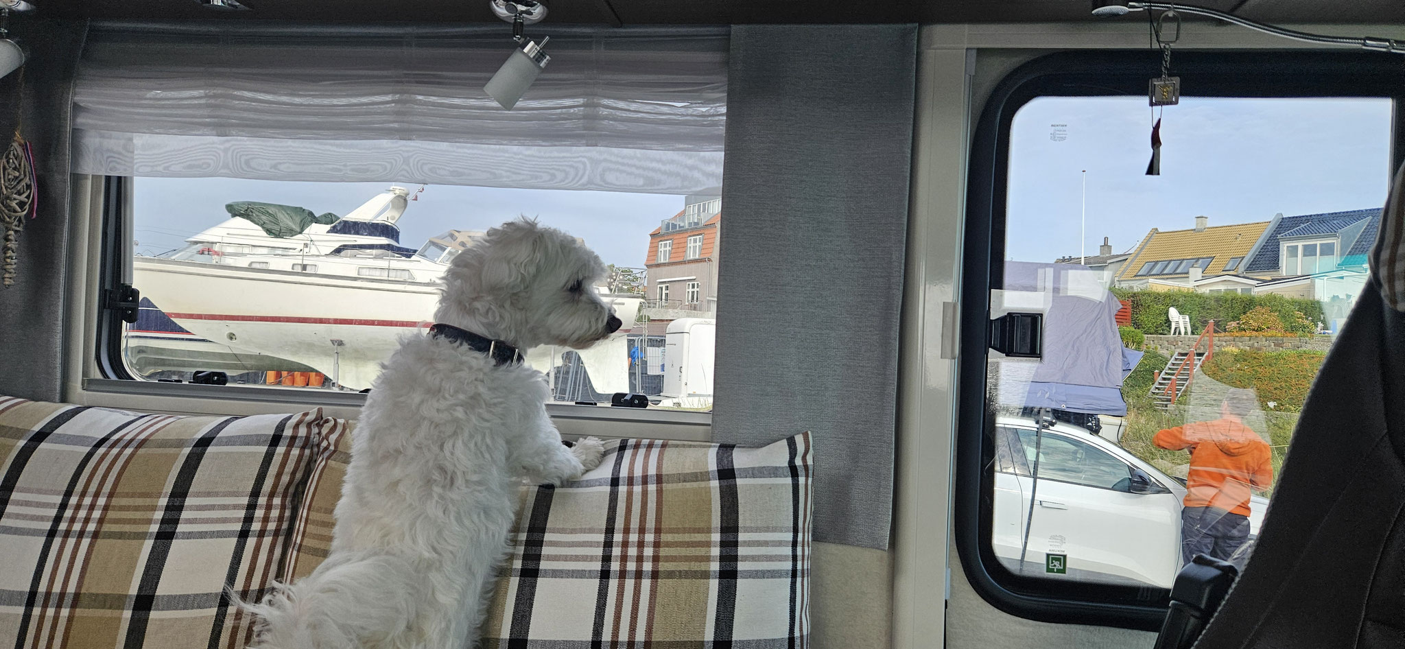 ...Wilson im WoMo guckt, was die mit dem Dachzelt machen