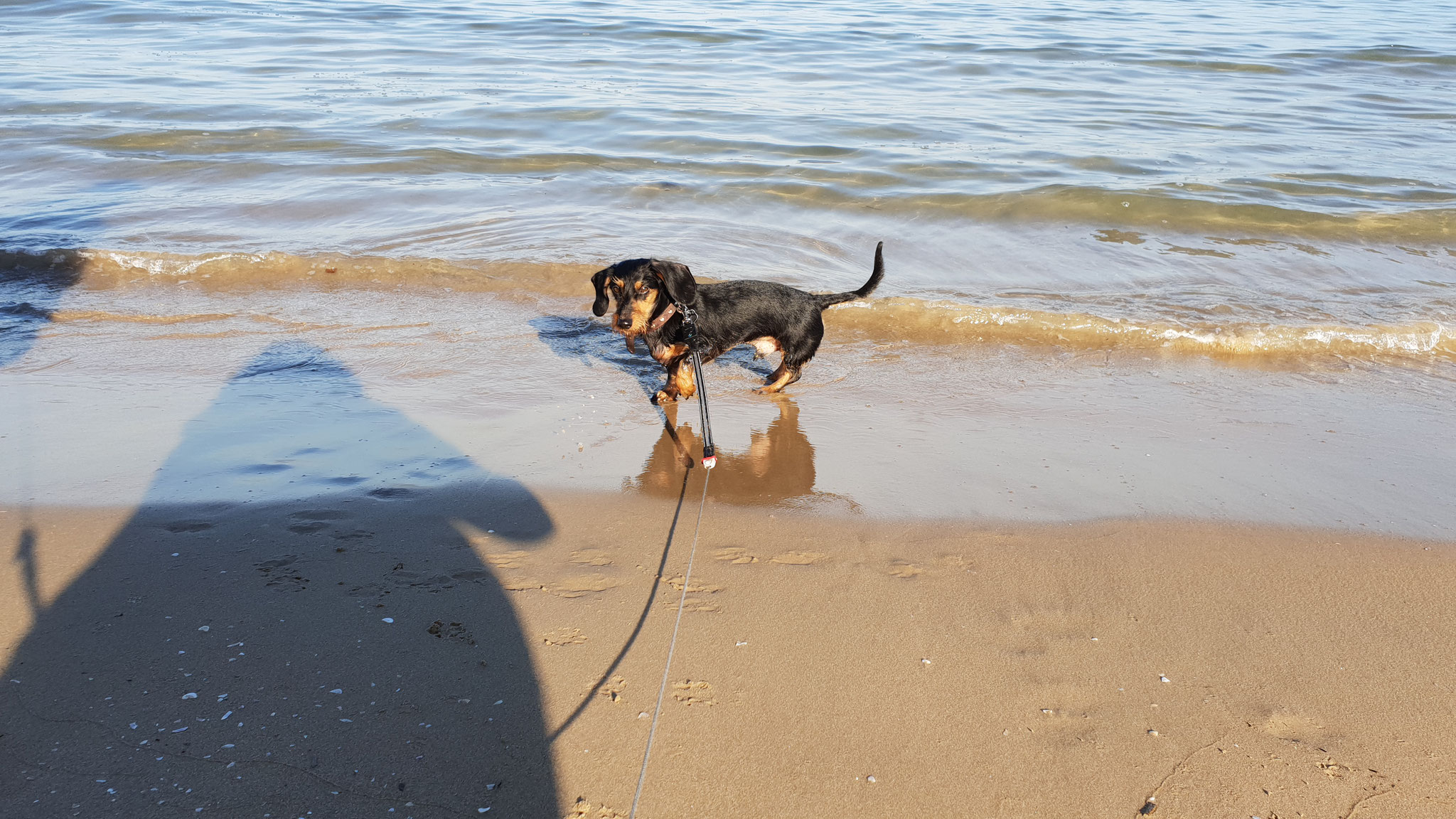 Mehr Meer macht Spass!