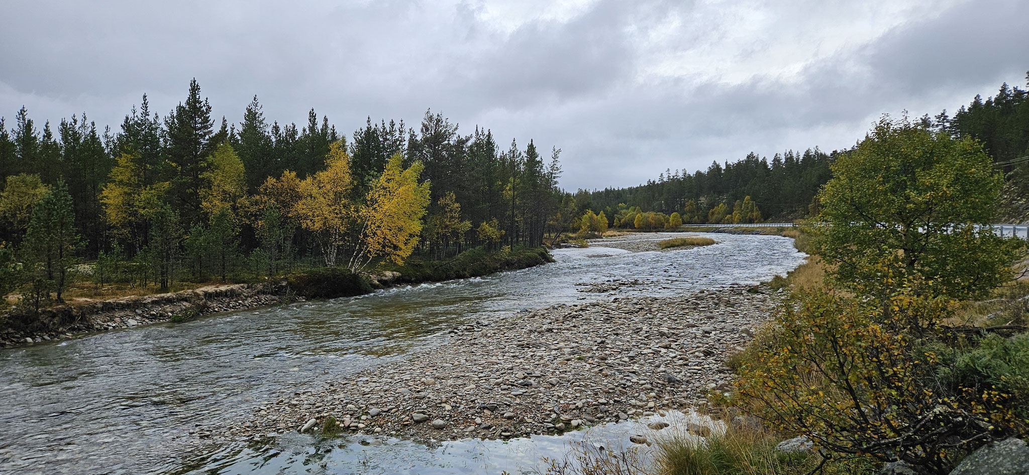 ...einfach nur Natur pur