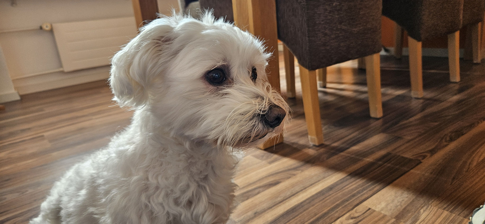 Wann kommt denn Papa endlich?