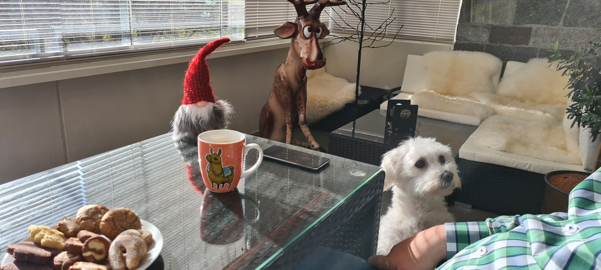 Kaffee und Weihnachtsplätzchen beim Aufbau...