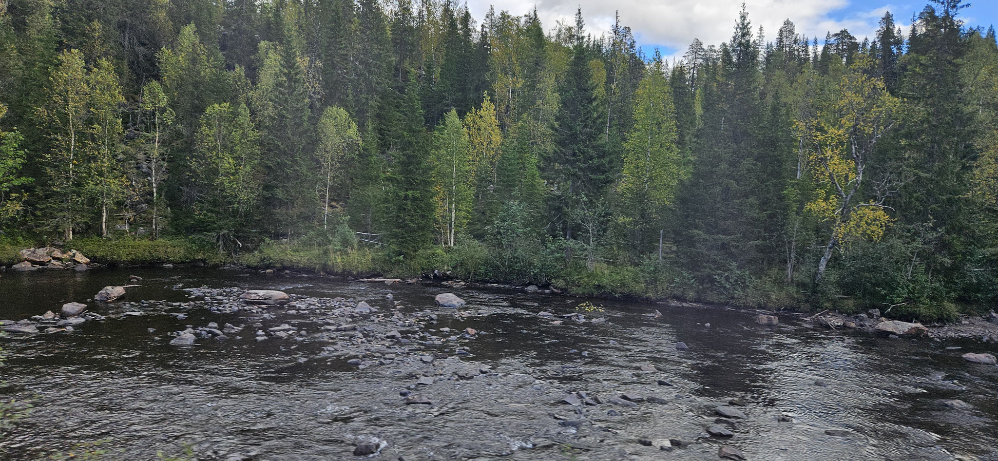 ...schon sind wir offiziell wieder in Norwegen