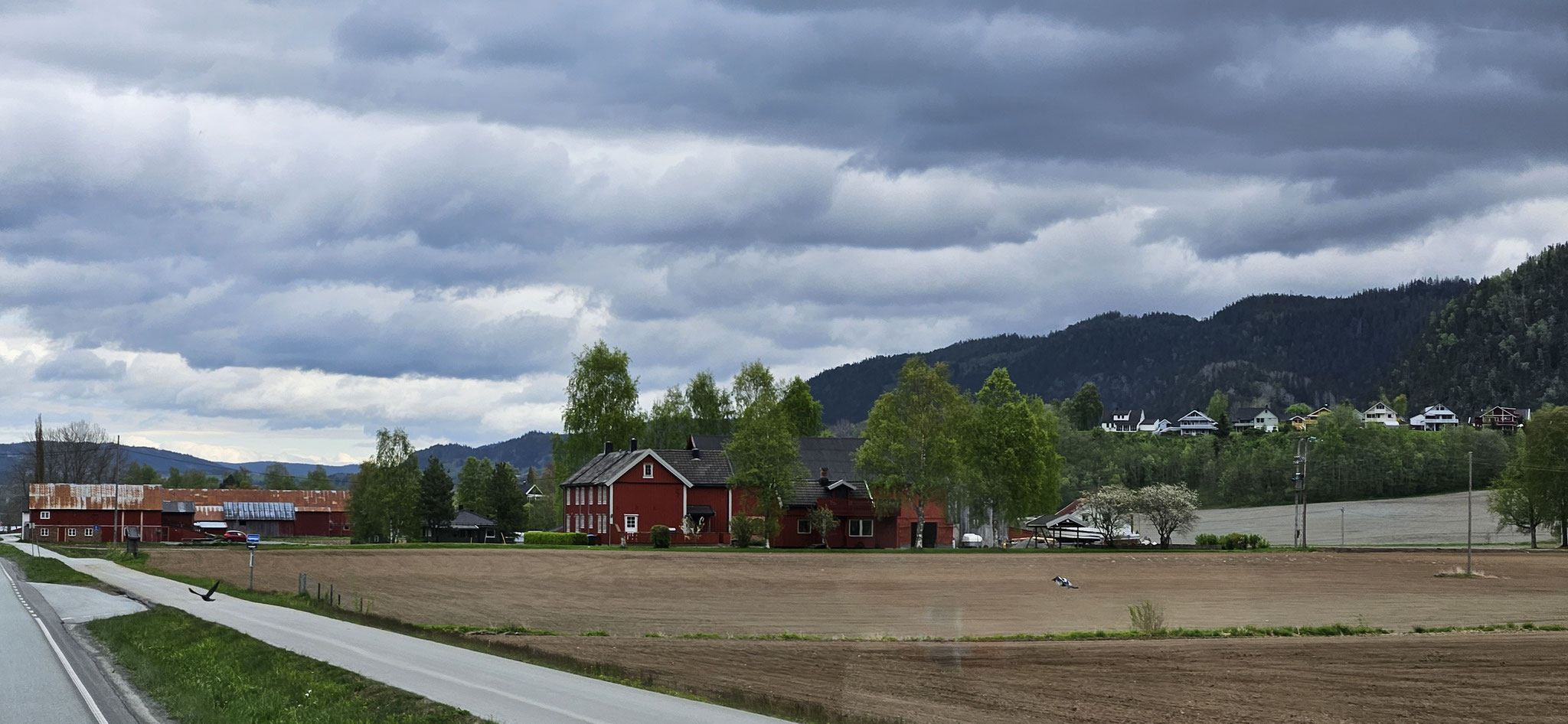 Typisch Norwegisch