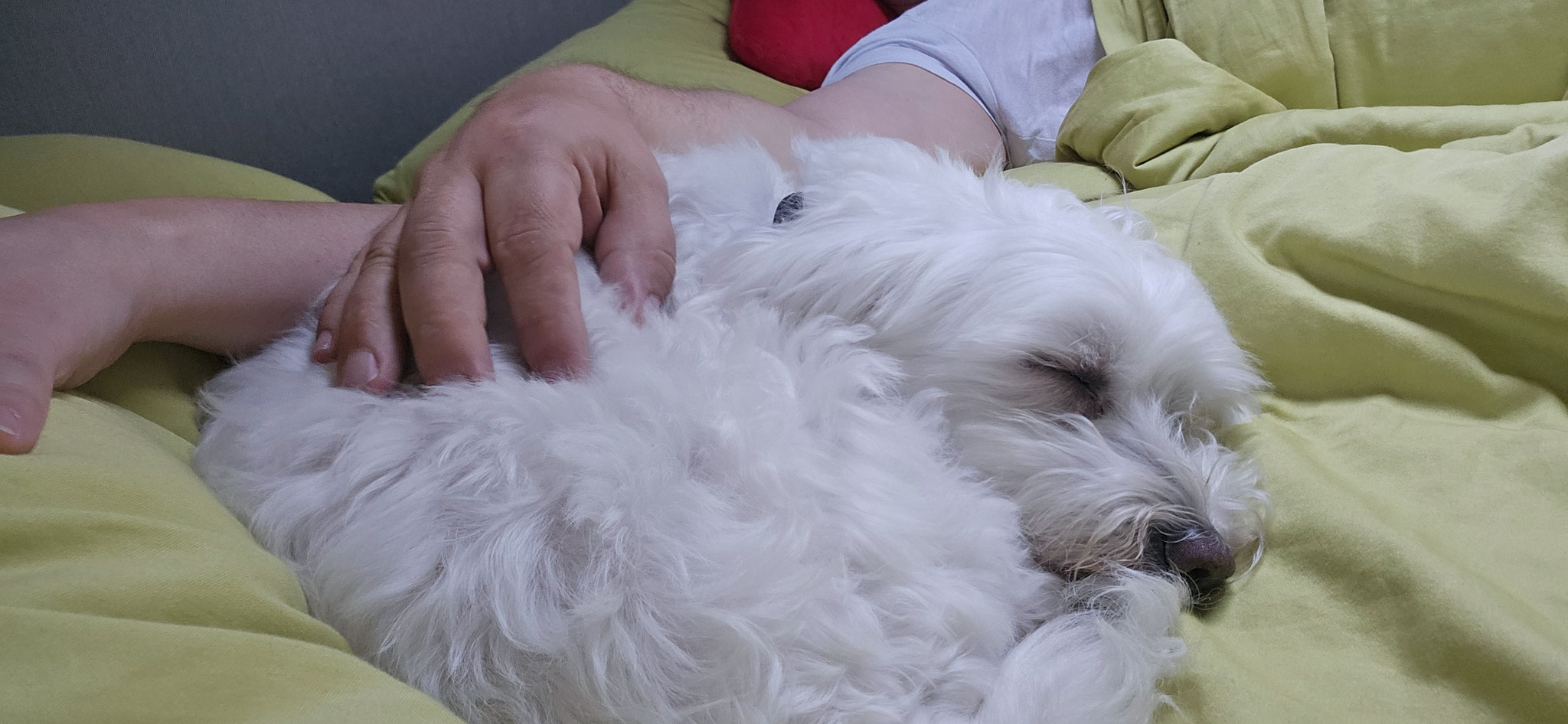 ...zwei Stündchen Schlaf