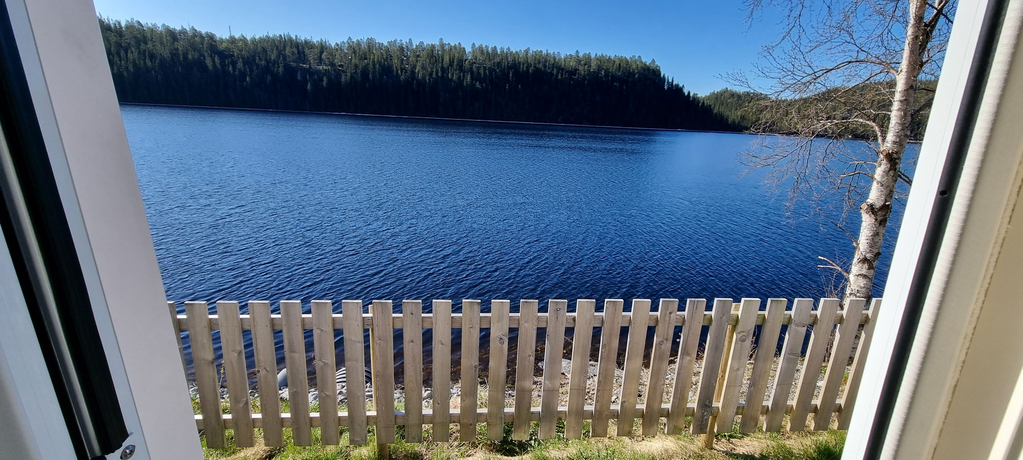 Aussicht zu unserer WoMo-Türe hinaus