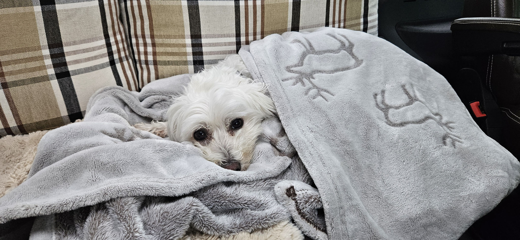 ...findet auch Wilson