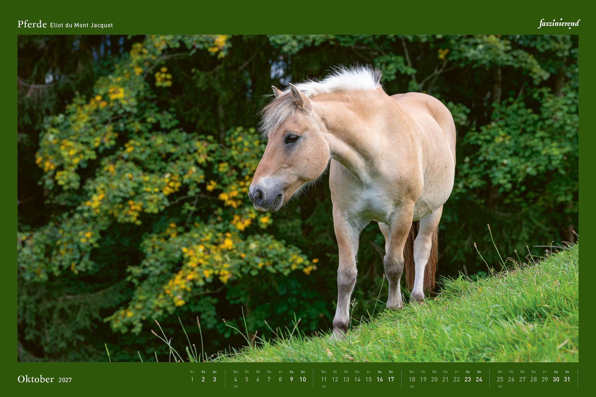 Wandkalender Kalender 2027 Pferde