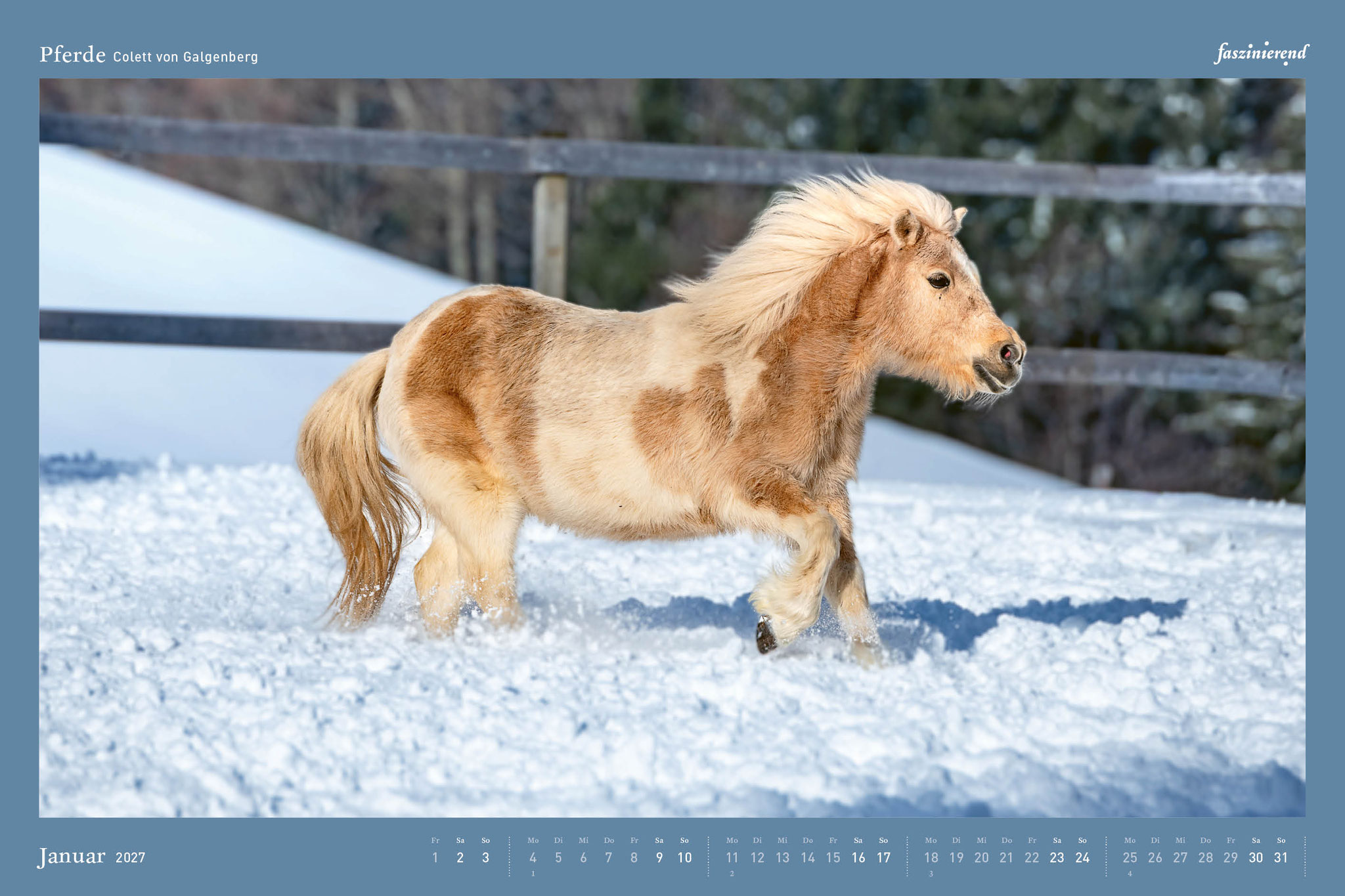 Wandkalender Kalender 2027 Pferde