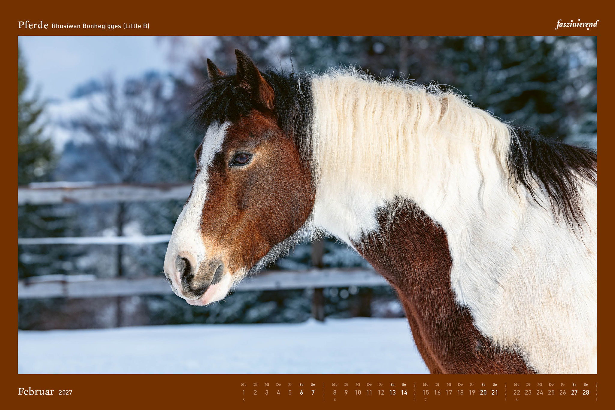 Wandkalender Kalender 2027 Pferde