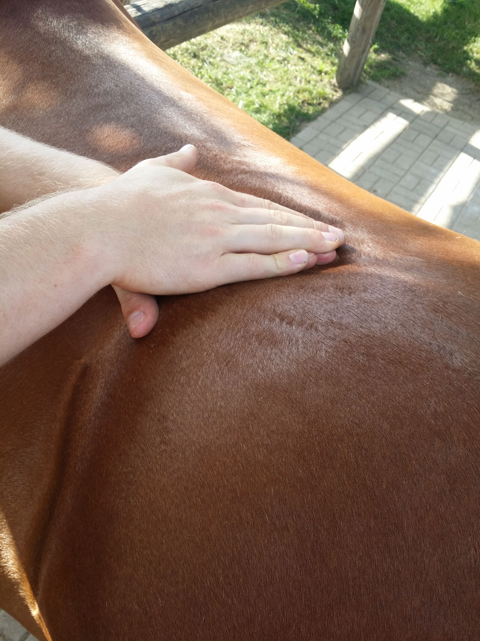 Faszienbehandlung