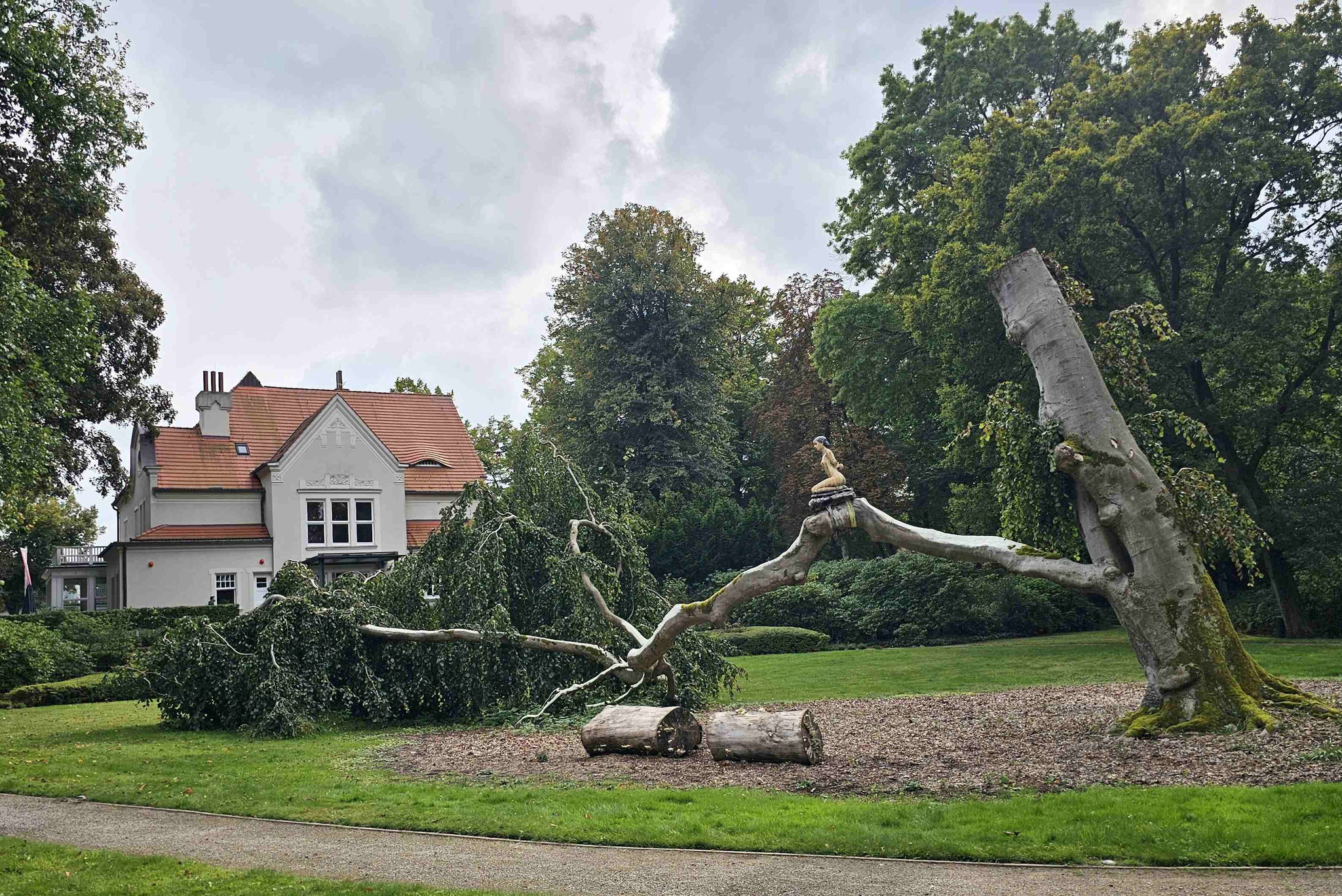 umgebrochener Baum