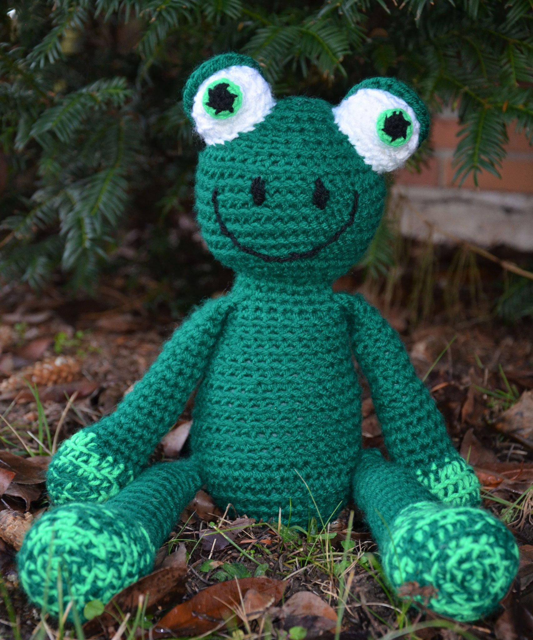 Fridolin Frosch
