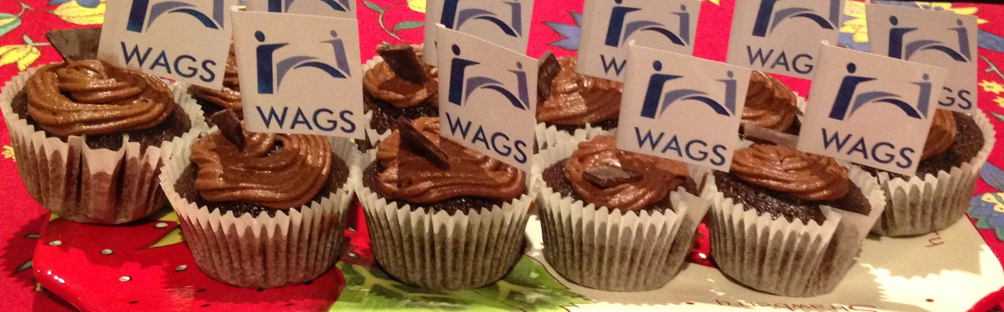Cupcakes from Dr Ricky Arenson founder of WAGS in 2015. Left in 2019. Currently in Melbourne. 