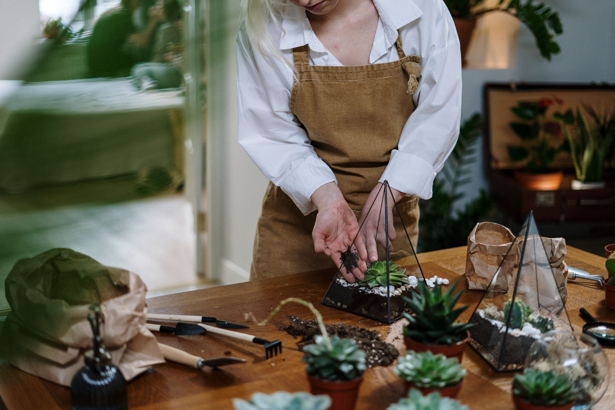 atelier terrarium en entreprise pour fabriquer un terrarium décoratif et partager un moment créatif