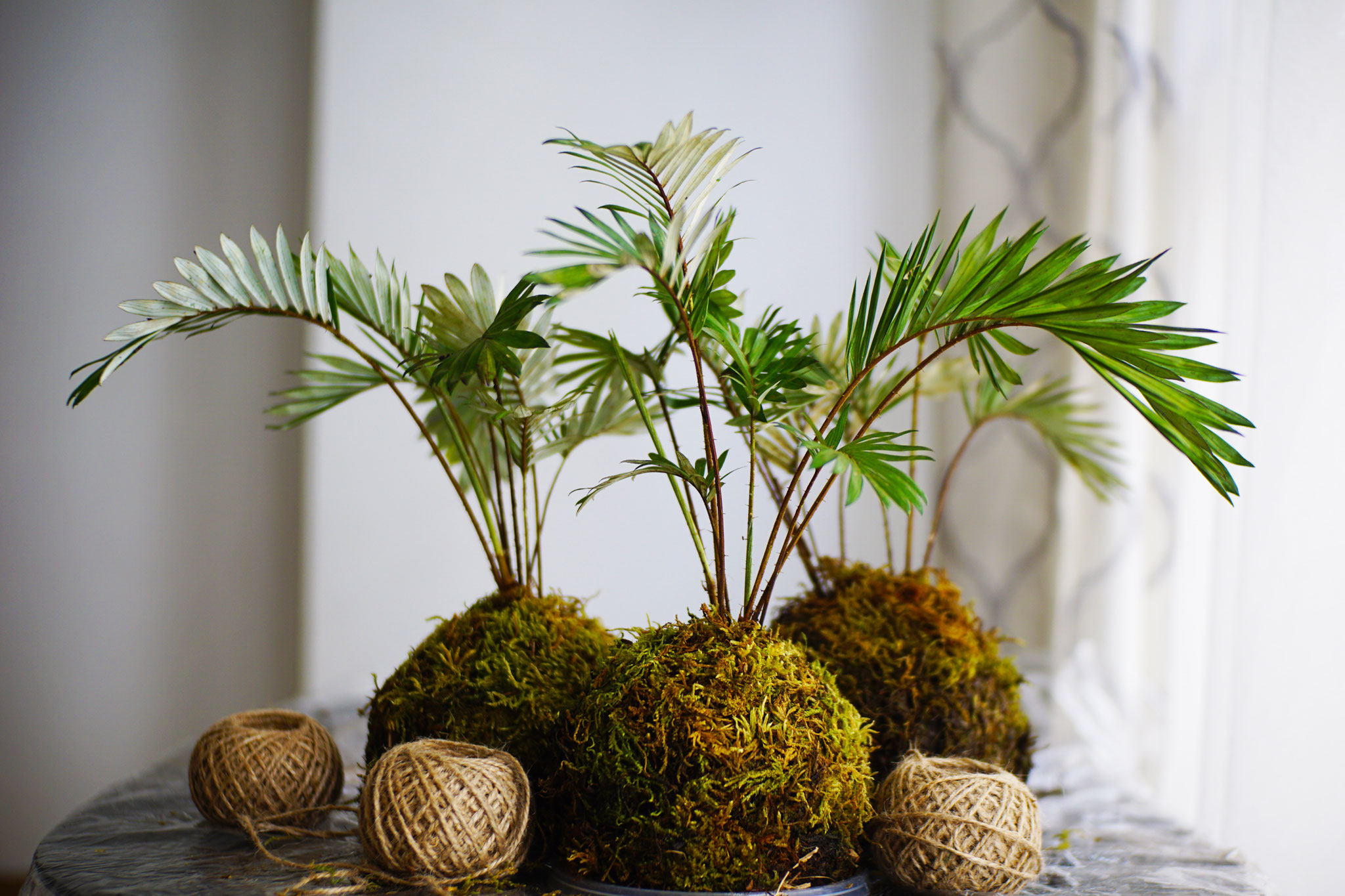 atelier kokedama en entreprise pour réaliser une suspension végétale et se détendre au travail