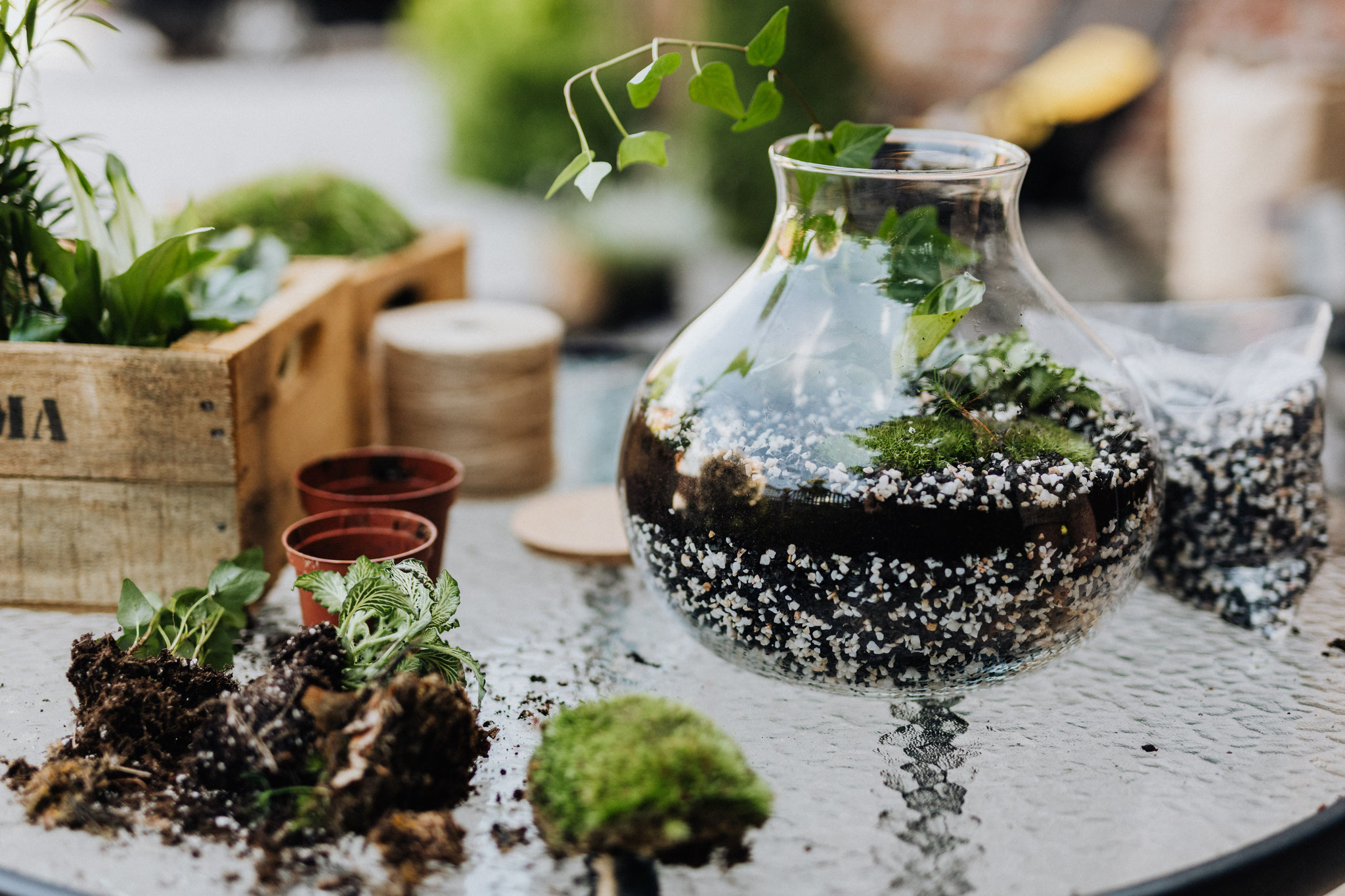 atelier créatif terrarium DIY en entreprise pour réaliser un jardin sous verre