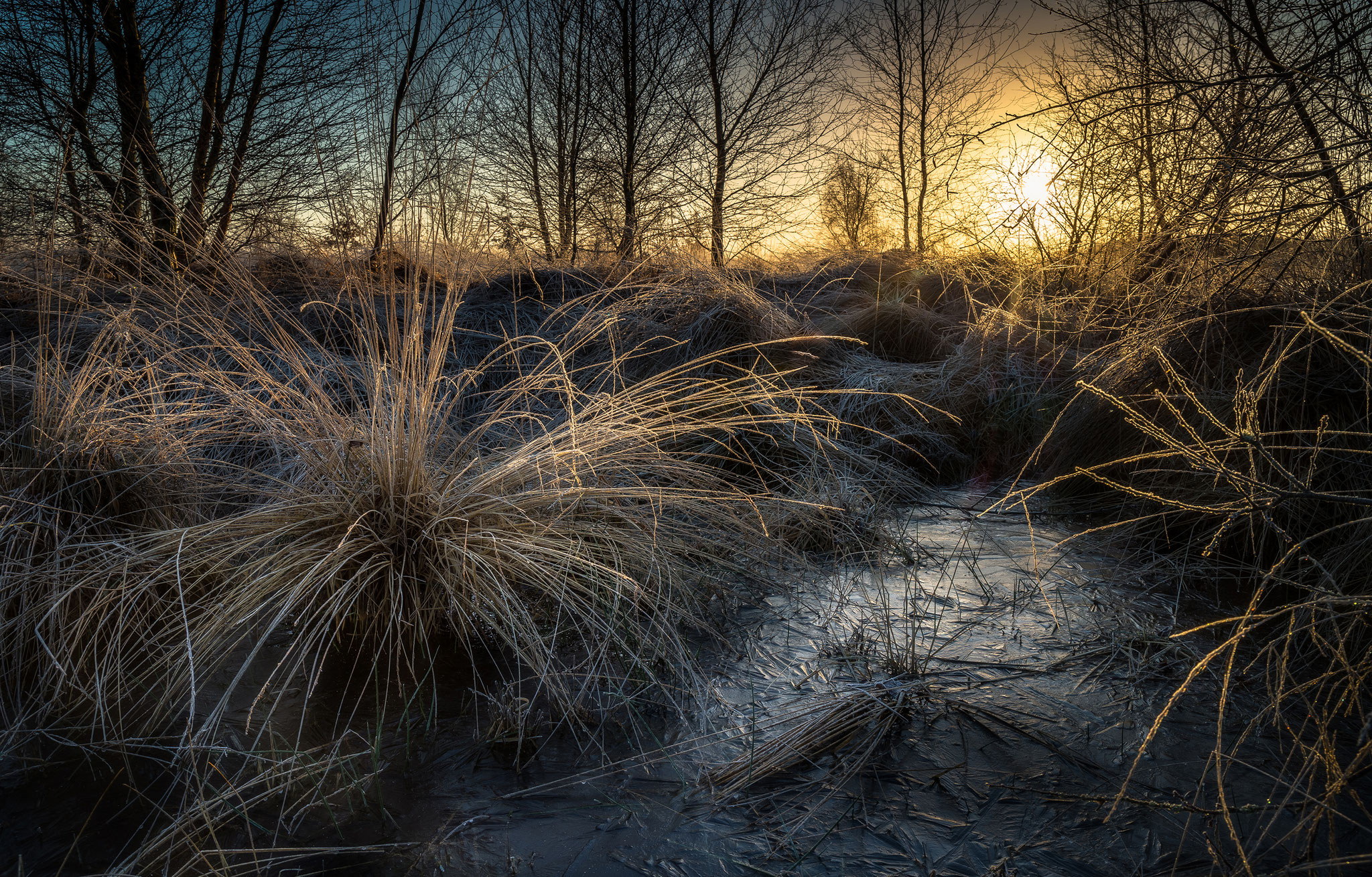 Wierdense veld, Martijn van Steenbergen, © 2018