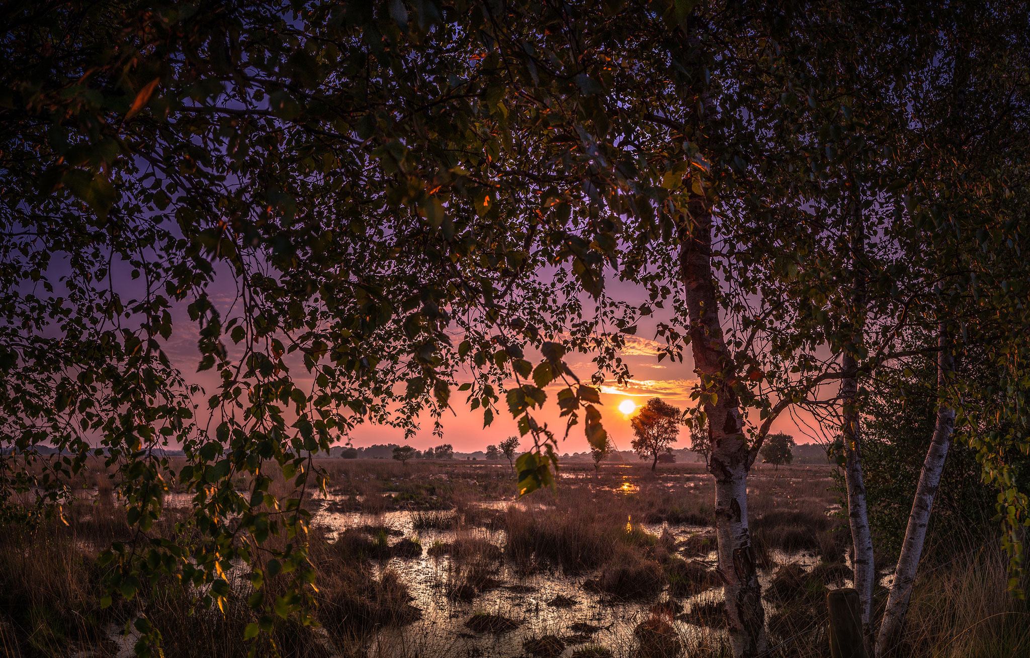 Wierdense veld, Martijn van Steenbergen, © 2018