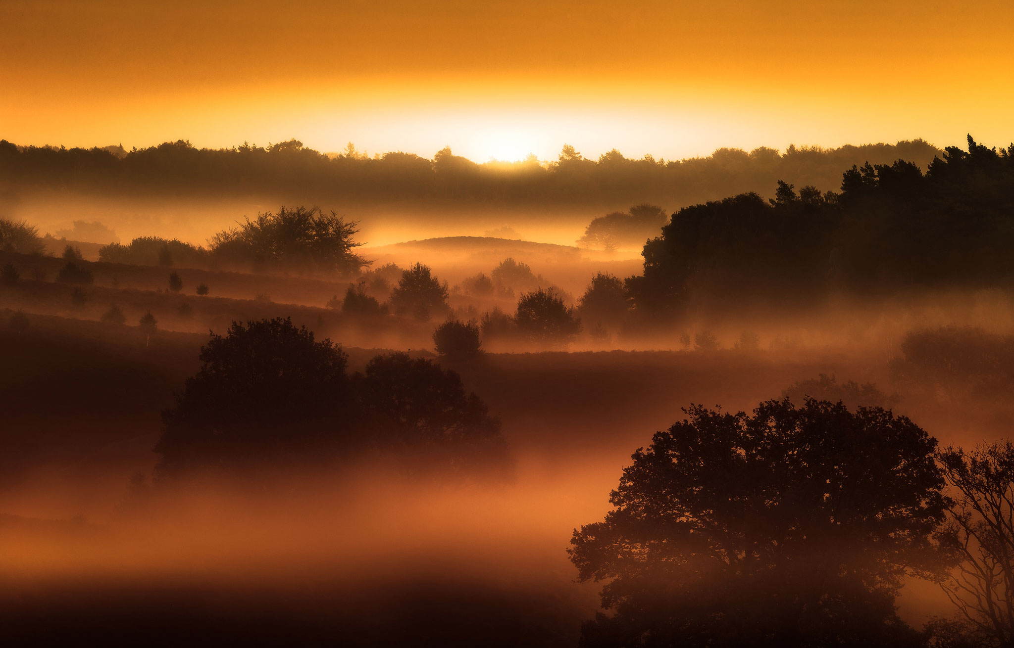 Dutch national park Veluwezoom, Martijn van Steenbergen, © 2018