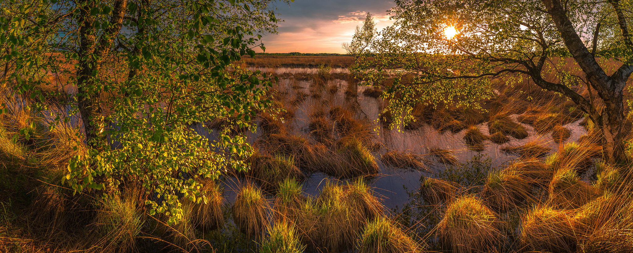 Wierdense veld, Martijn van Steenbergen, © 2018