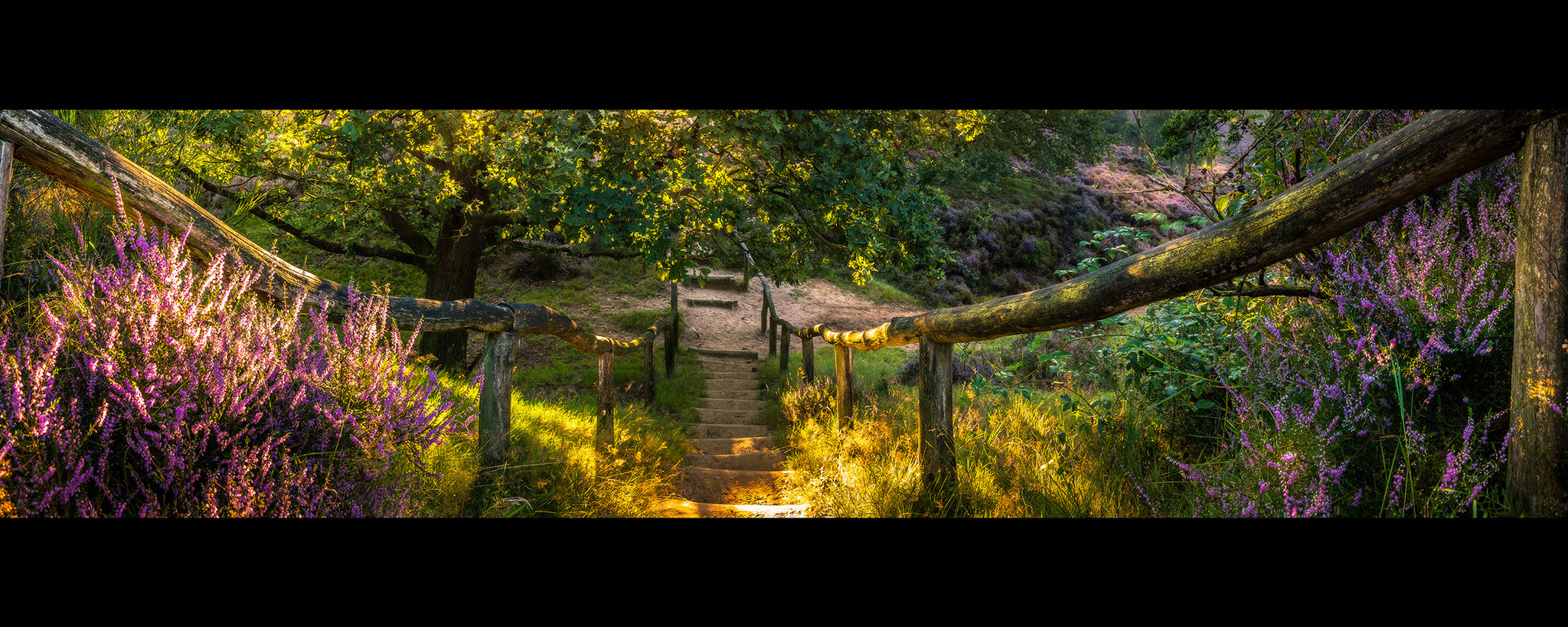 Dutch national park Veluwezoom, Martijn van Steenbergen, © 2018