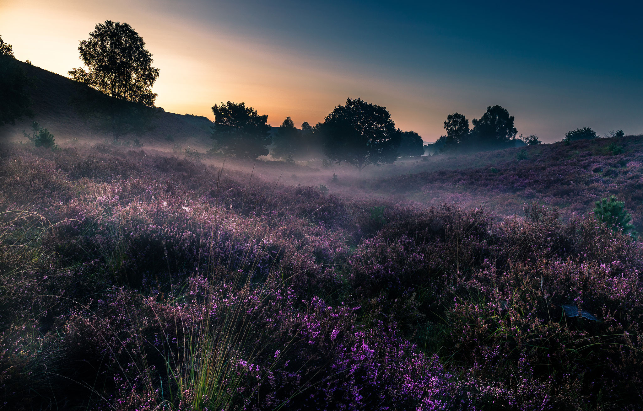 Dutch national park Veluwezoom, Martijn van Steenbergen, © 2018