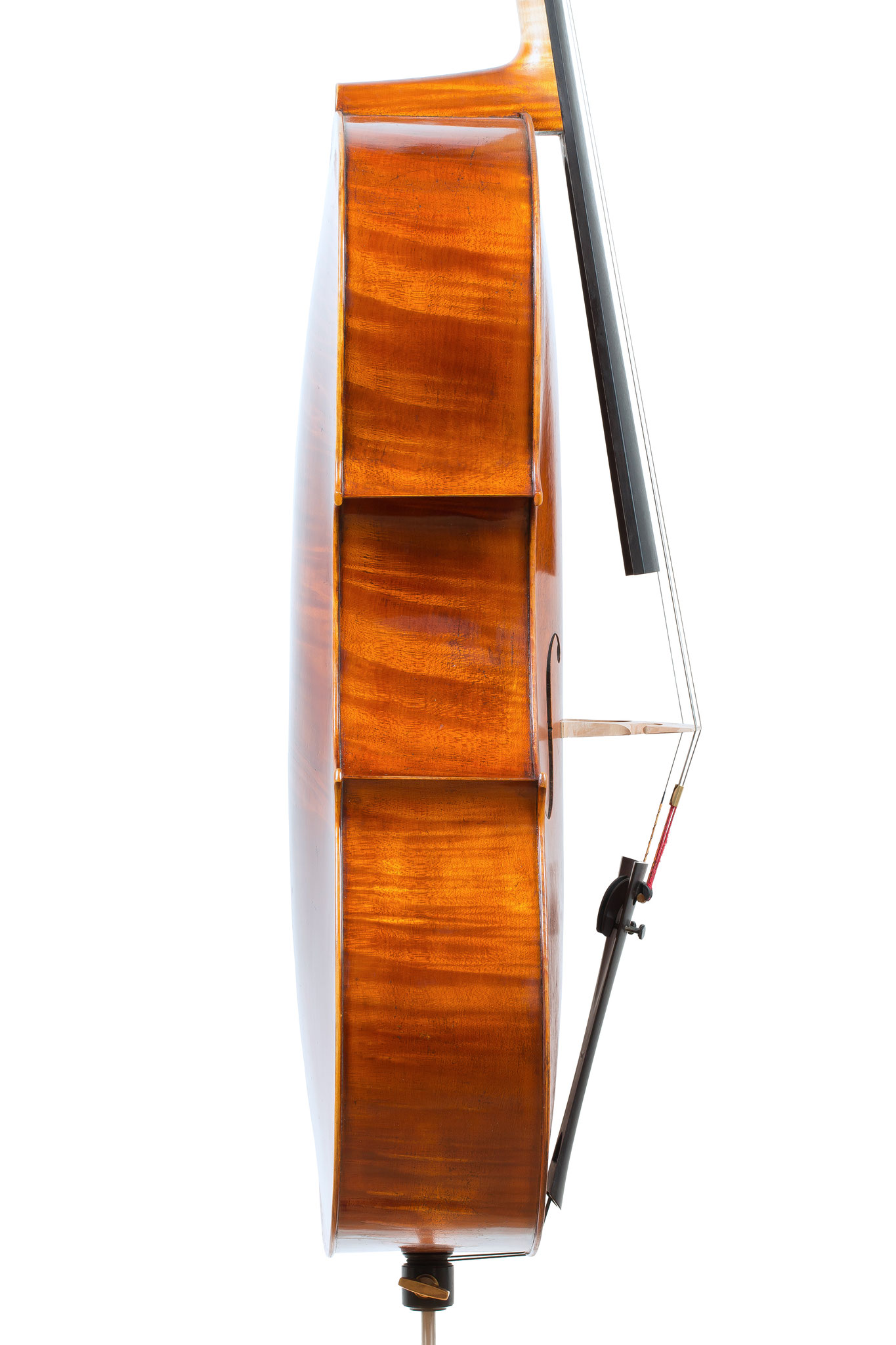 Violoncello after Antonio Stradivari Forma B piccola "ex-Feuermann" (2012/CH), Photo: VDB Photography