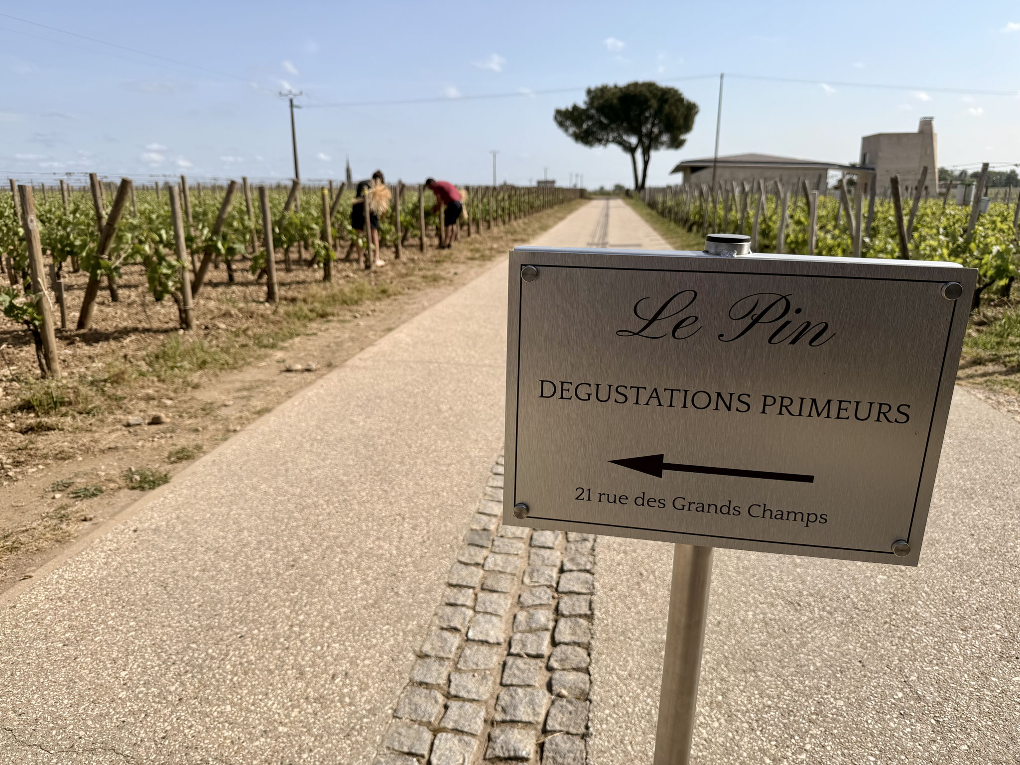 op weg naar degustatieruimte