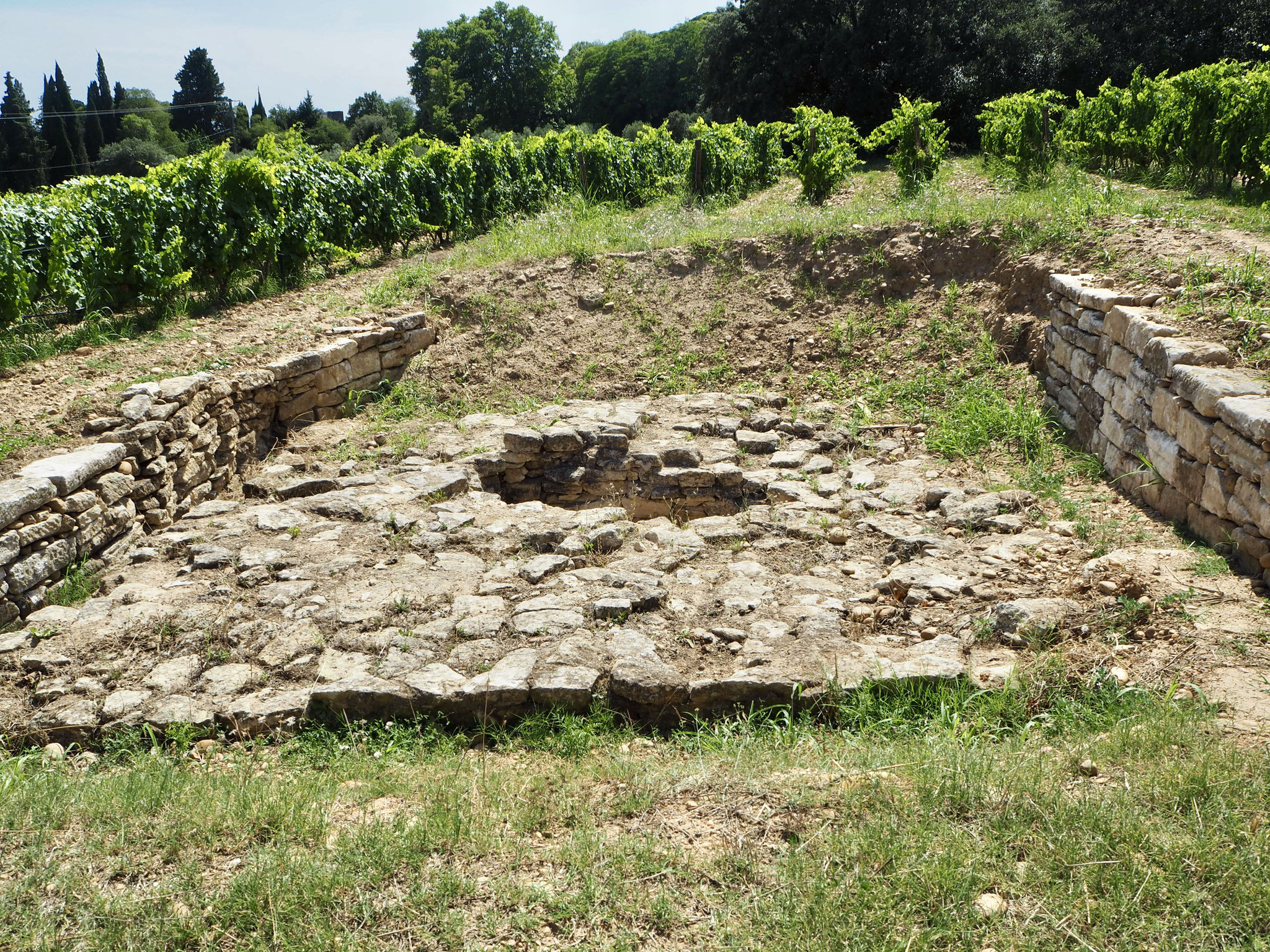 Telkens François een nieuwe wijngaard aanplant, stuit hij op archeologische overblijfselen uit de Romeinse tijd.