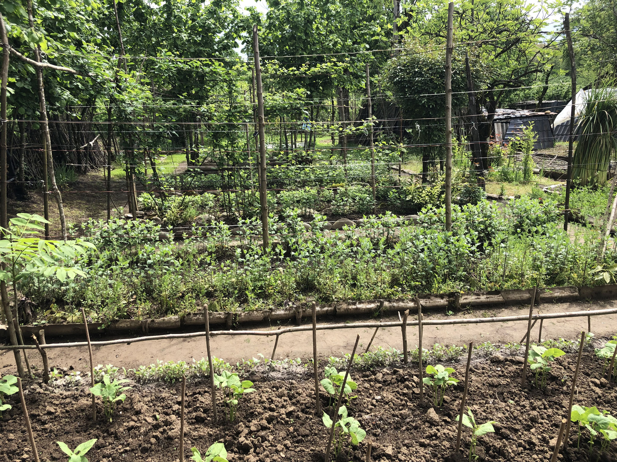 groenten- & kruiden tuin