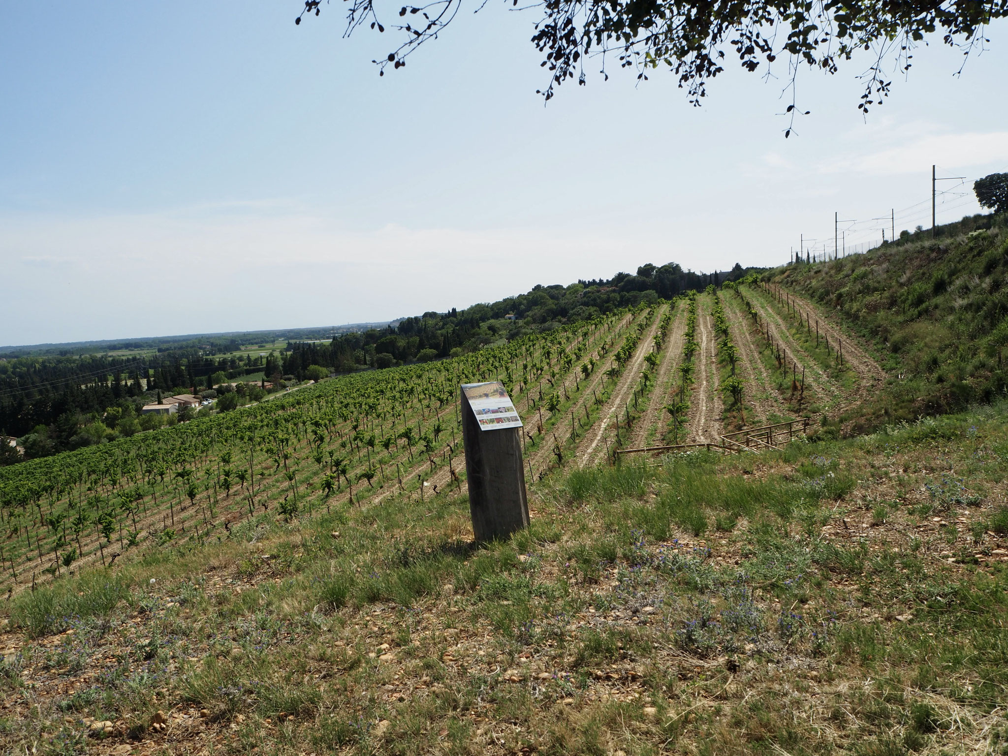 In de verte de Rhône.