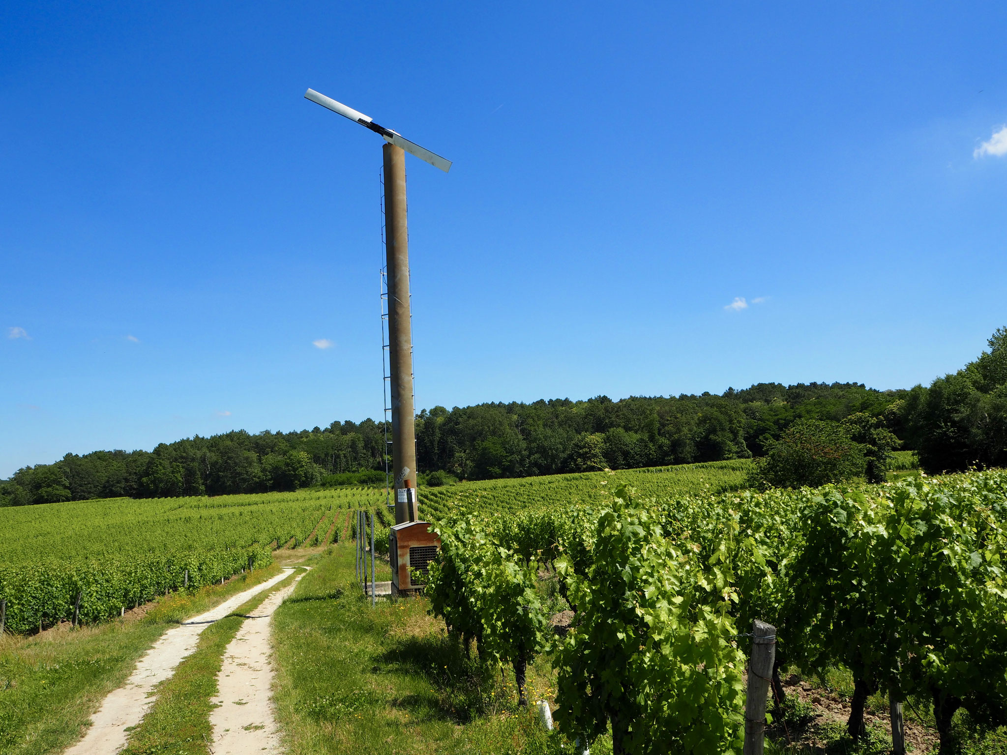 windmolen in Bourgueil Loire