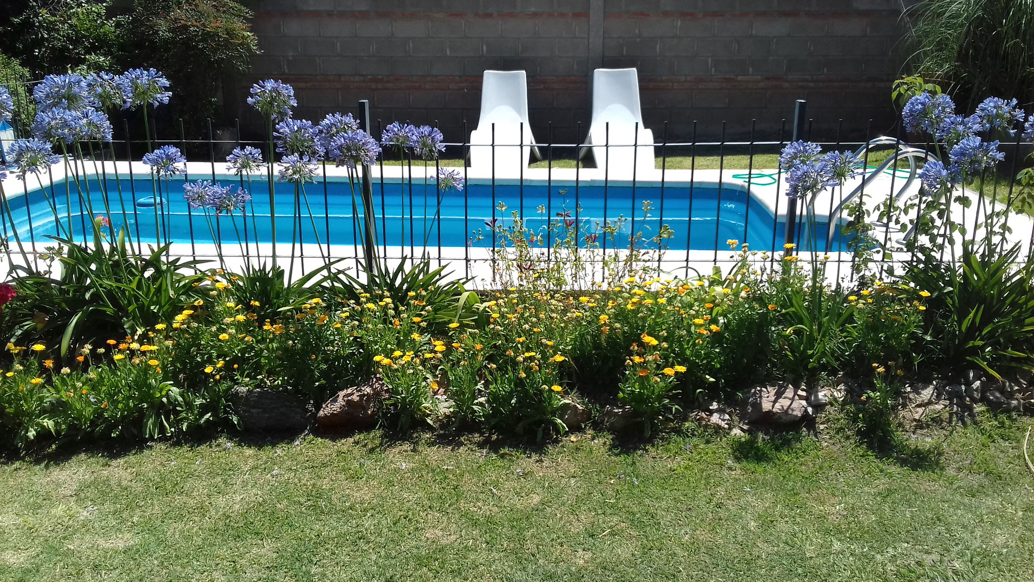Piscina con cerco perimetral 