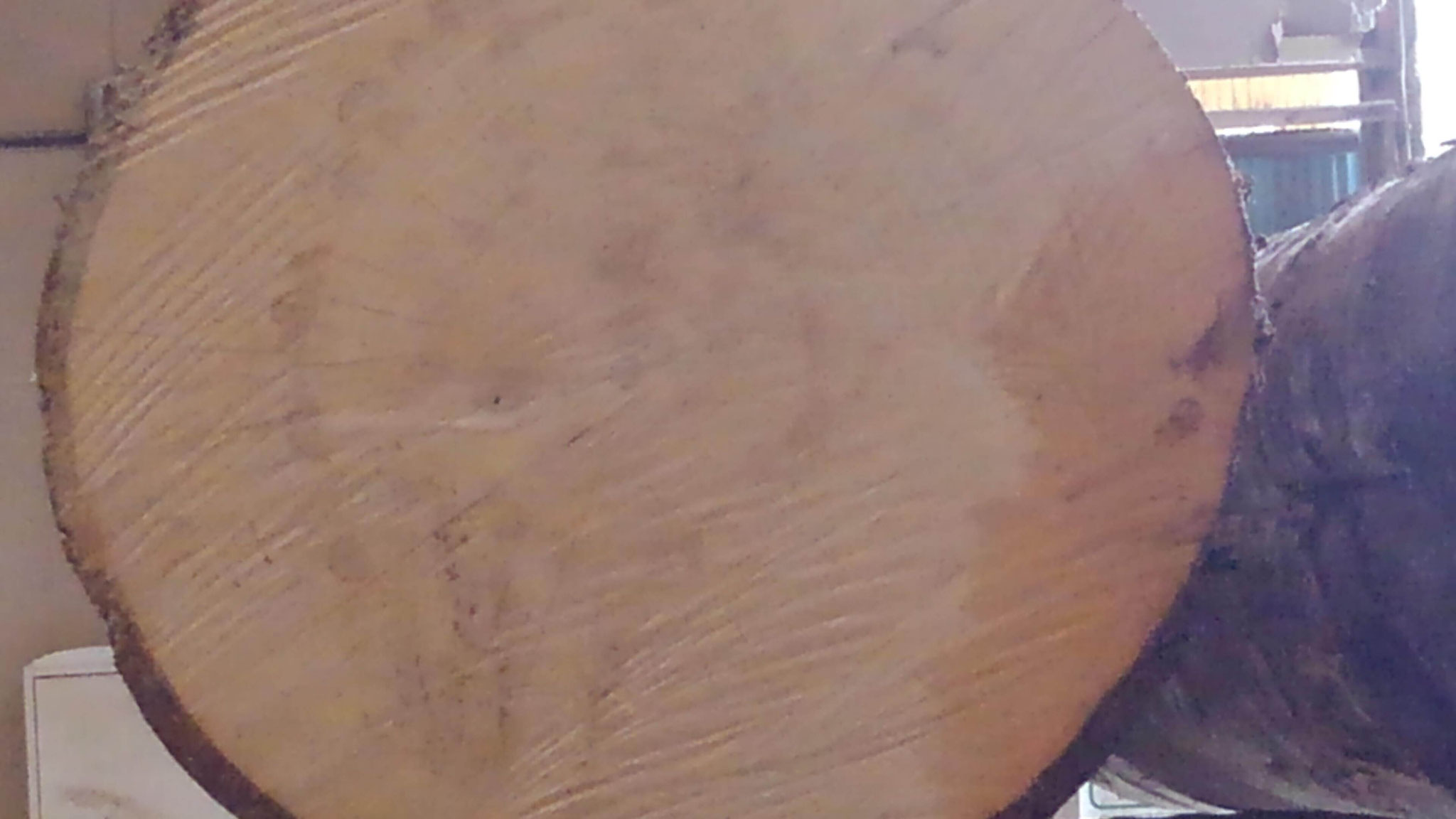 よく乾いた感じが伝わるでしょうか