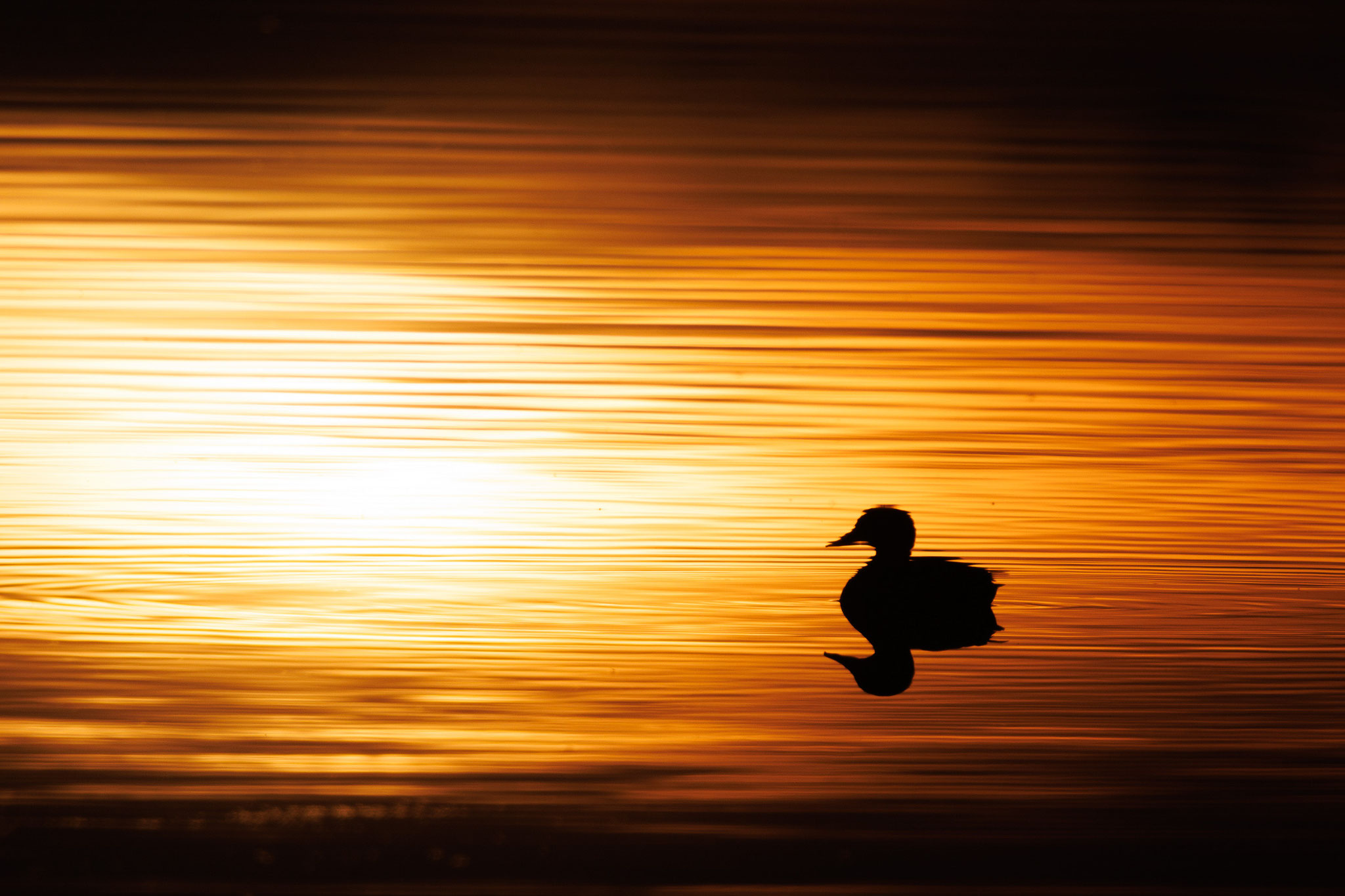 Sonnenuntergang, Tammo Gerdes-Röben