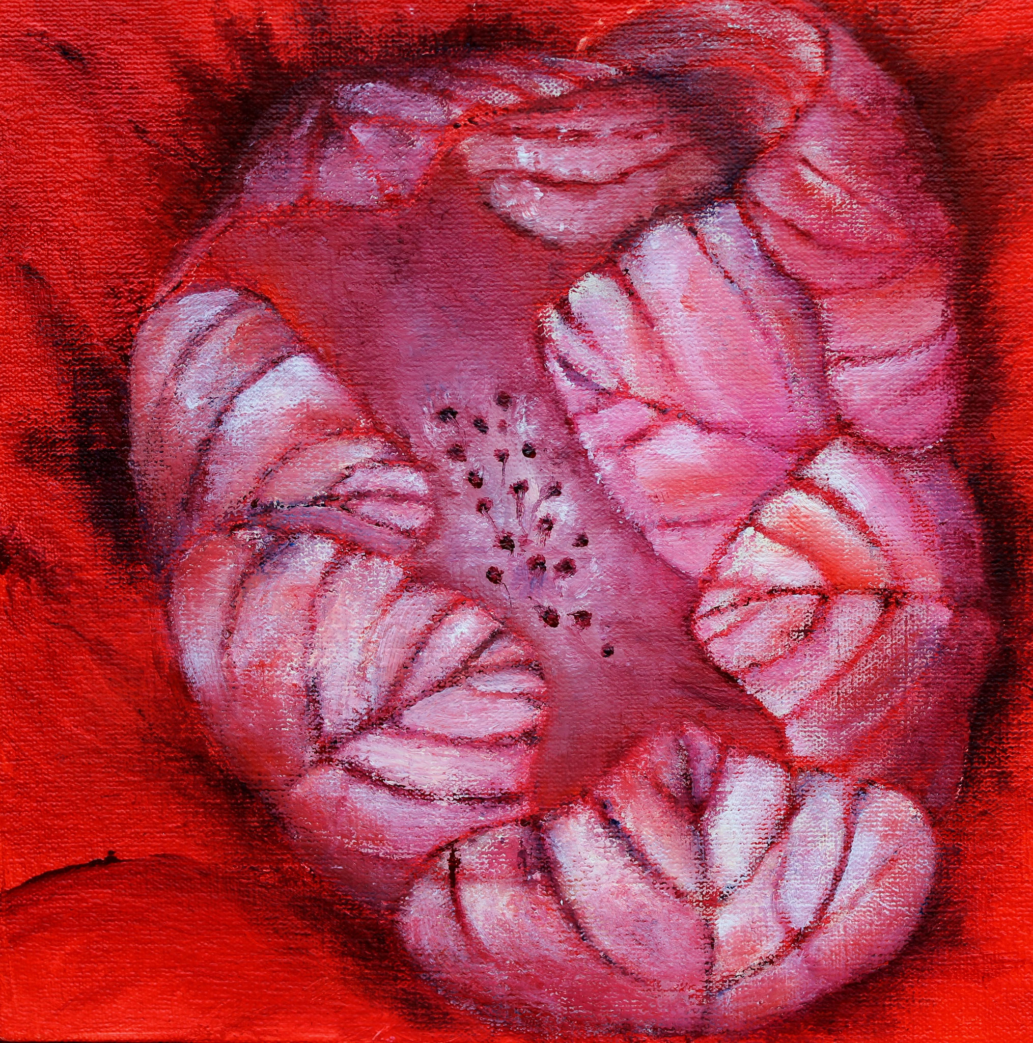 Blüte, 2016, Öl, 30 x 30 cm