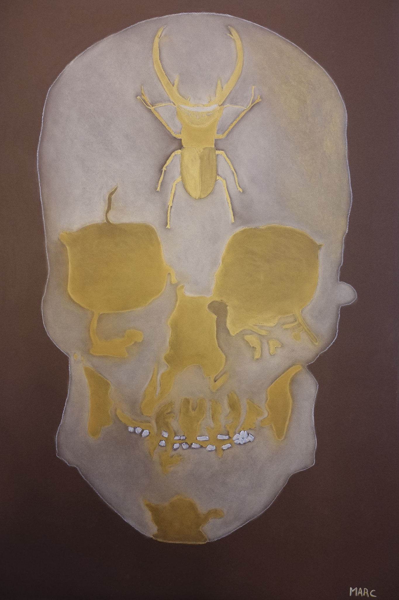 Crâne égyptien, 80x120, 3000 €