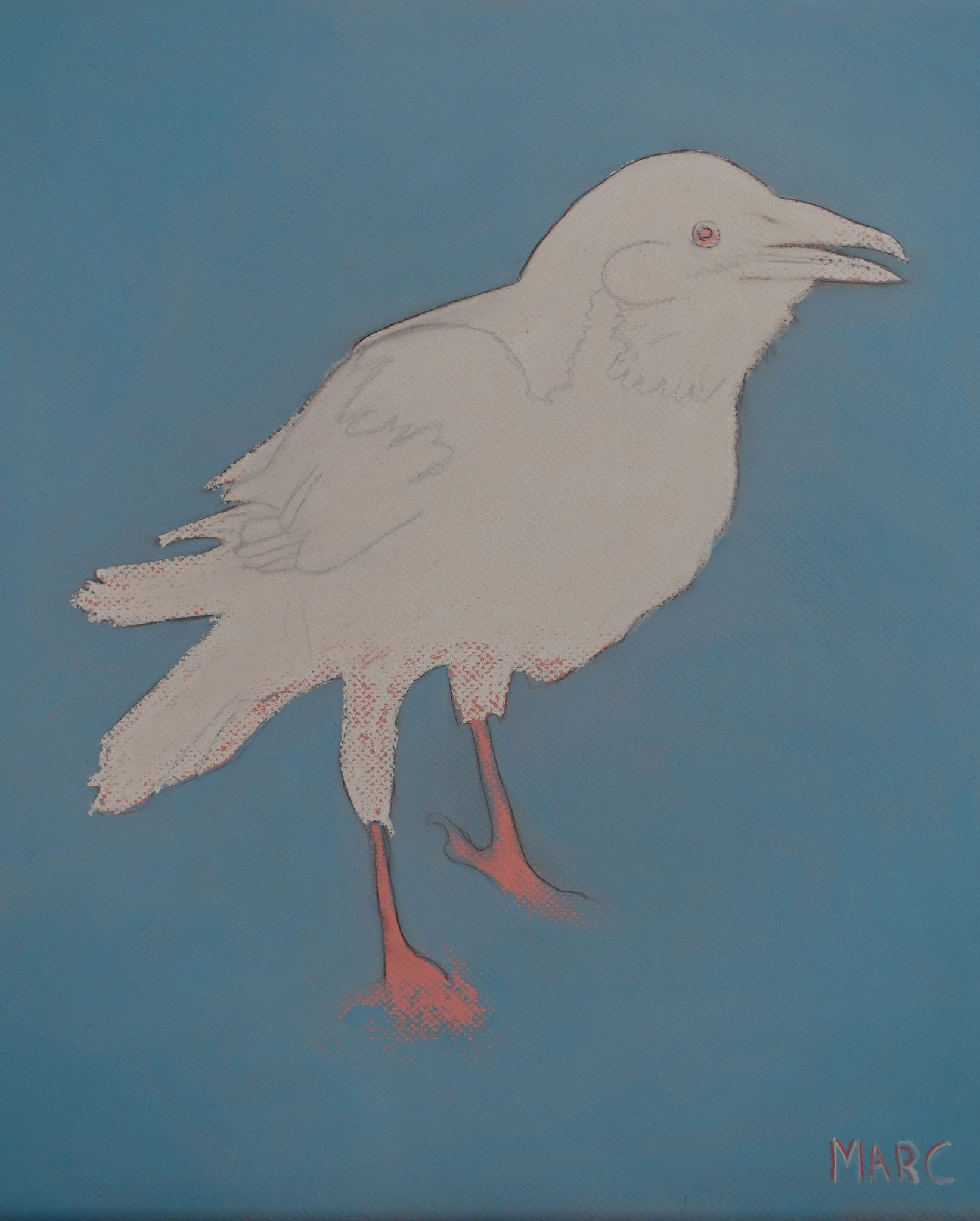 Corbeau Blanc, 42x47, 400 €