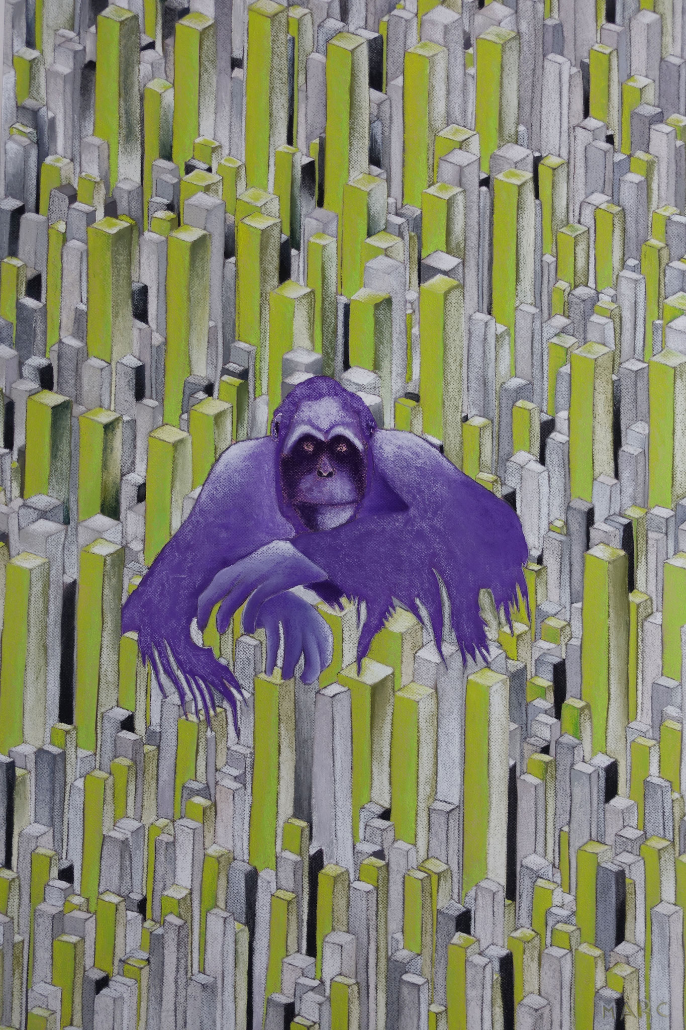 Chimpanzé, l'homme des bois, 80x120, 3000 €