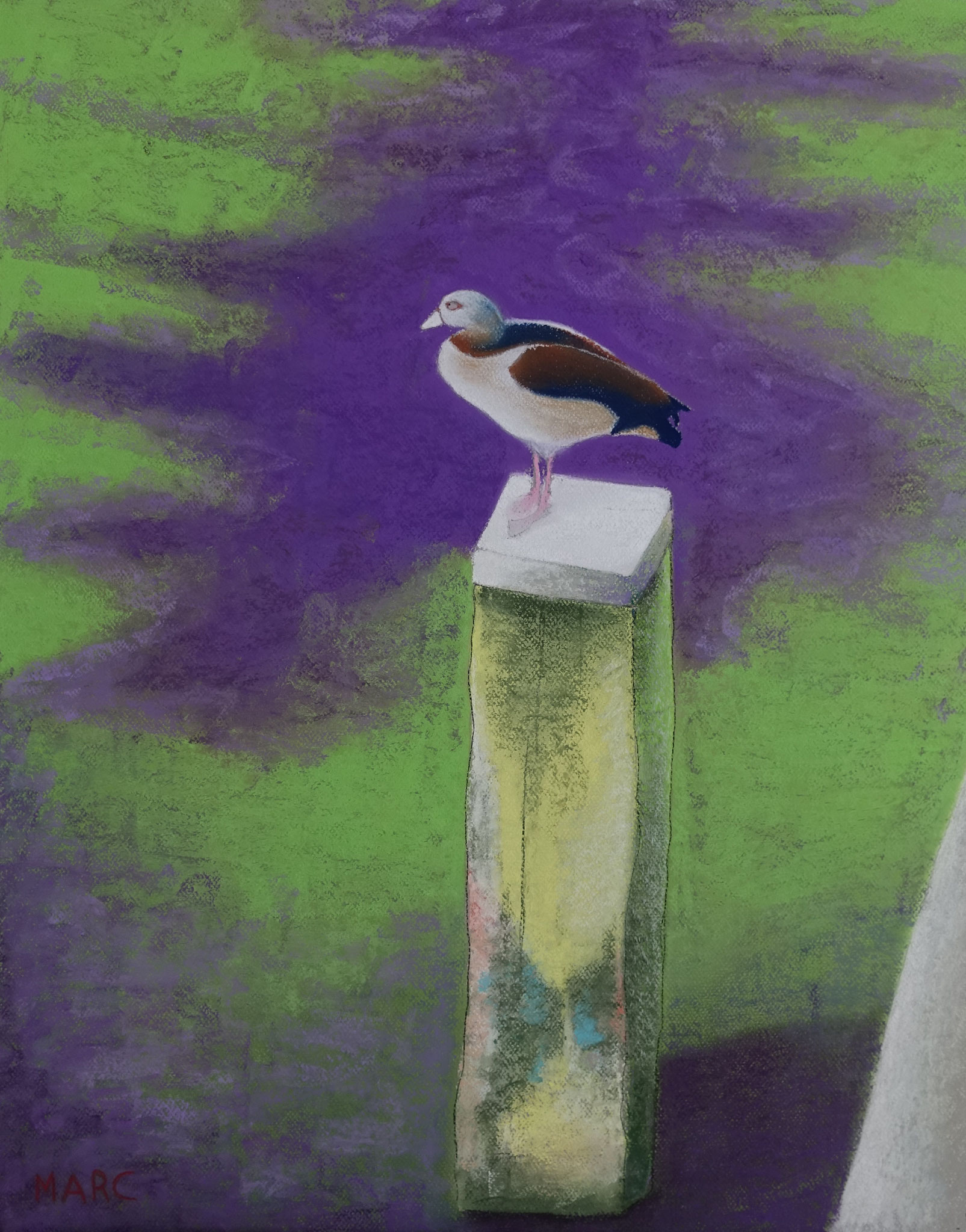 Canard, 56x71, 1500 €