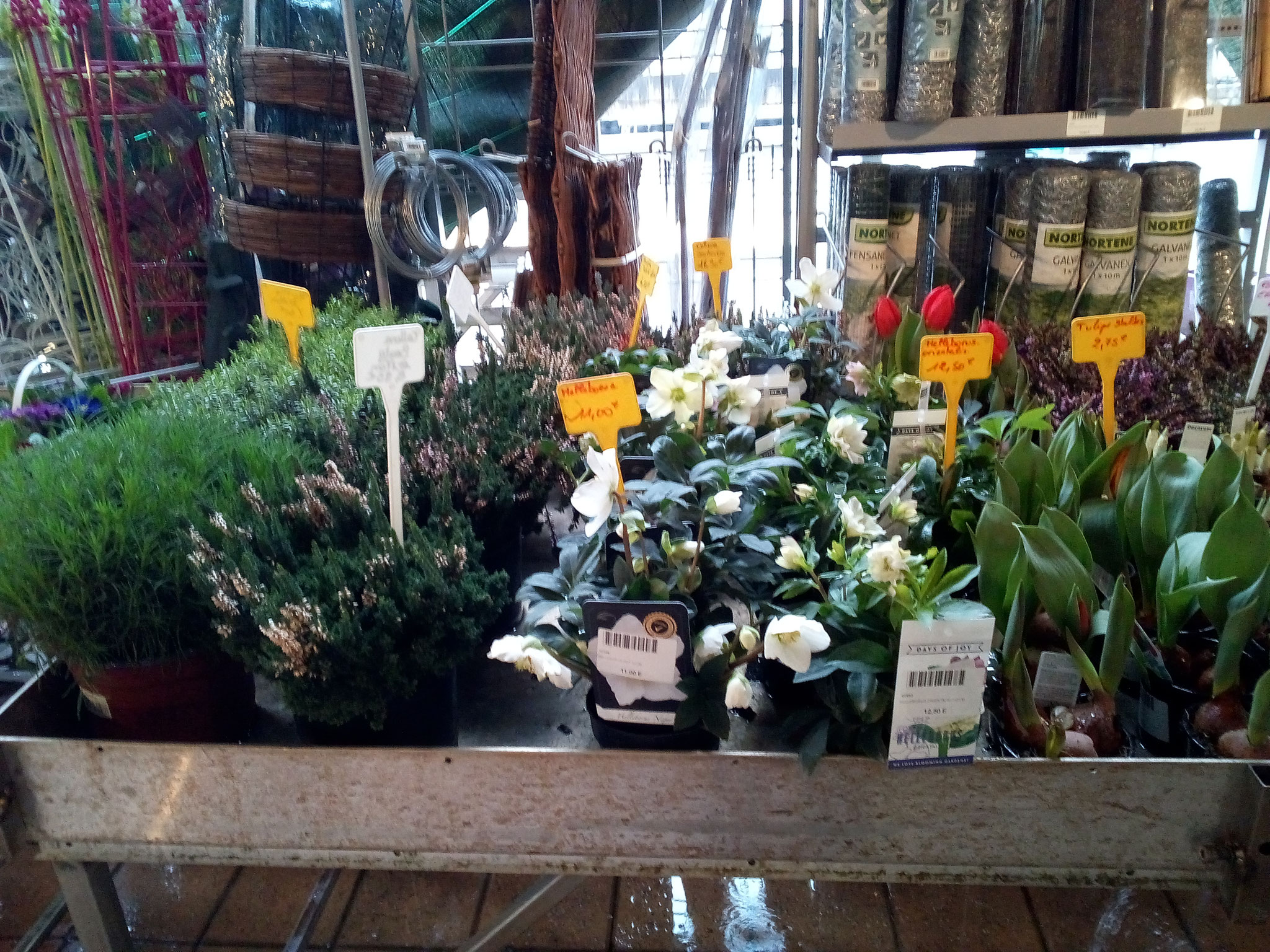 Serre Froide Au Jardin De La Dore Serre Froide Au Jardin De La Dore