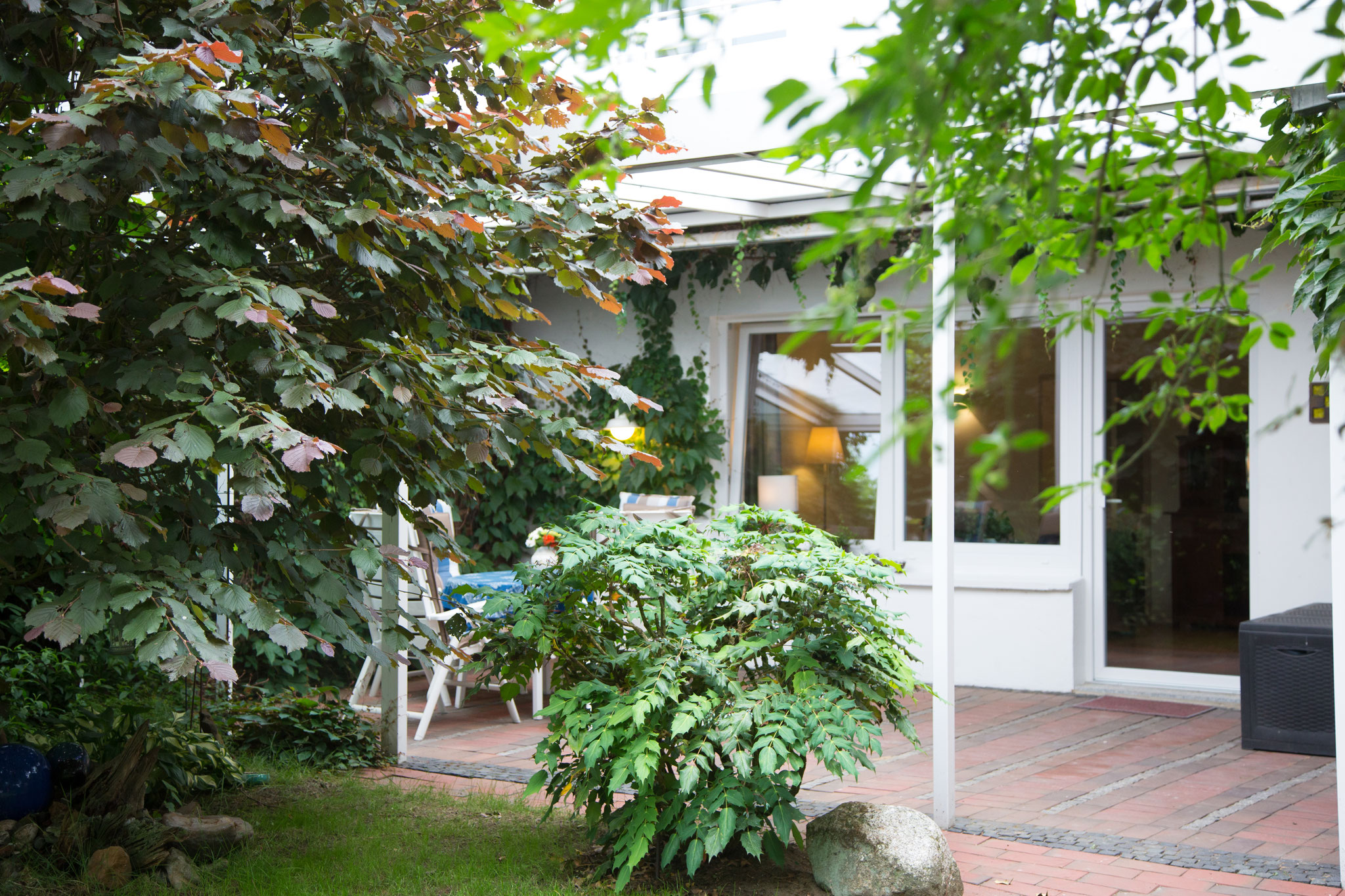 Blick aus dem Garten
