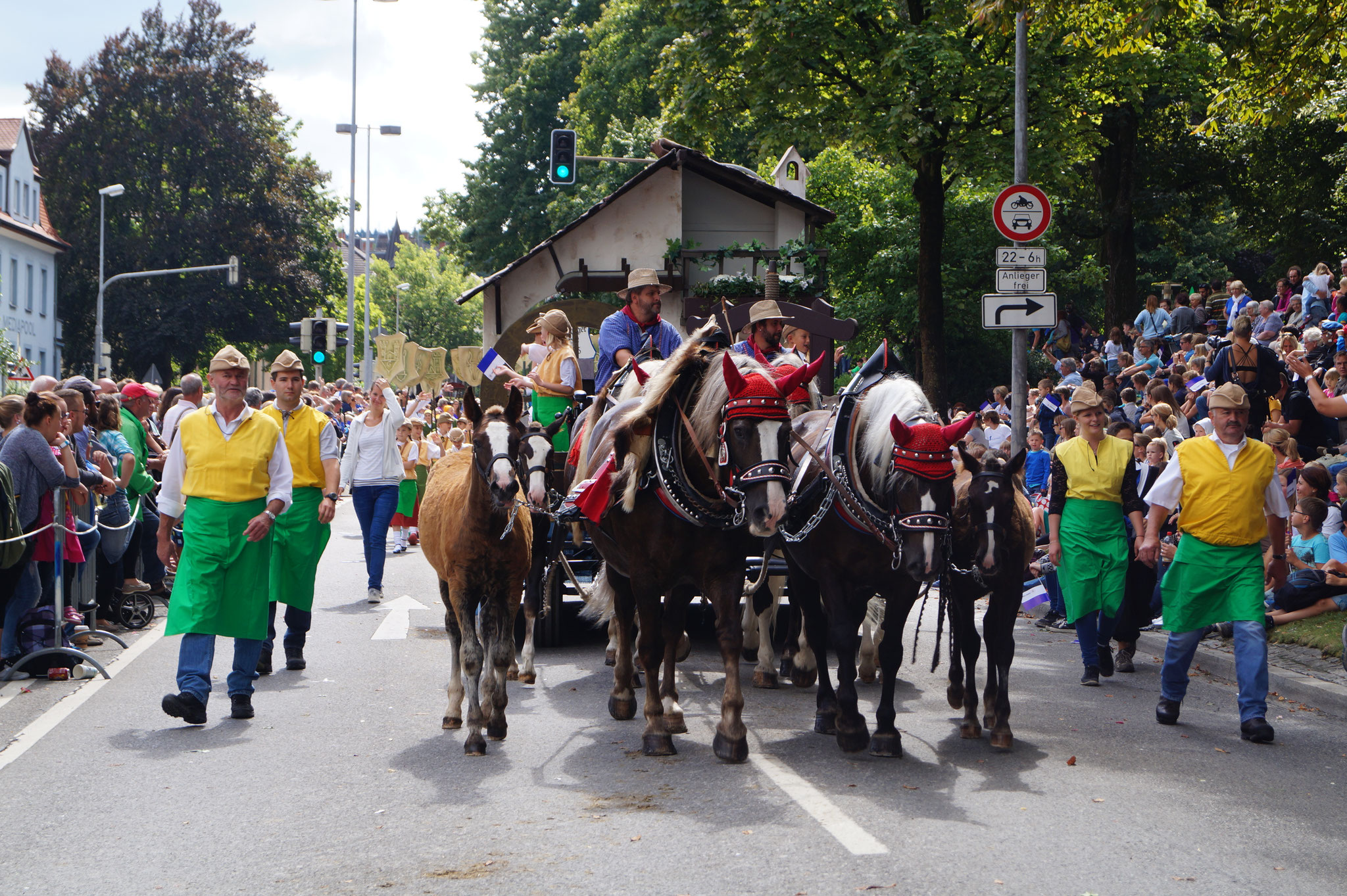 Rutenfest Ravensburg 2015, vierspännig mit vier Fohlen