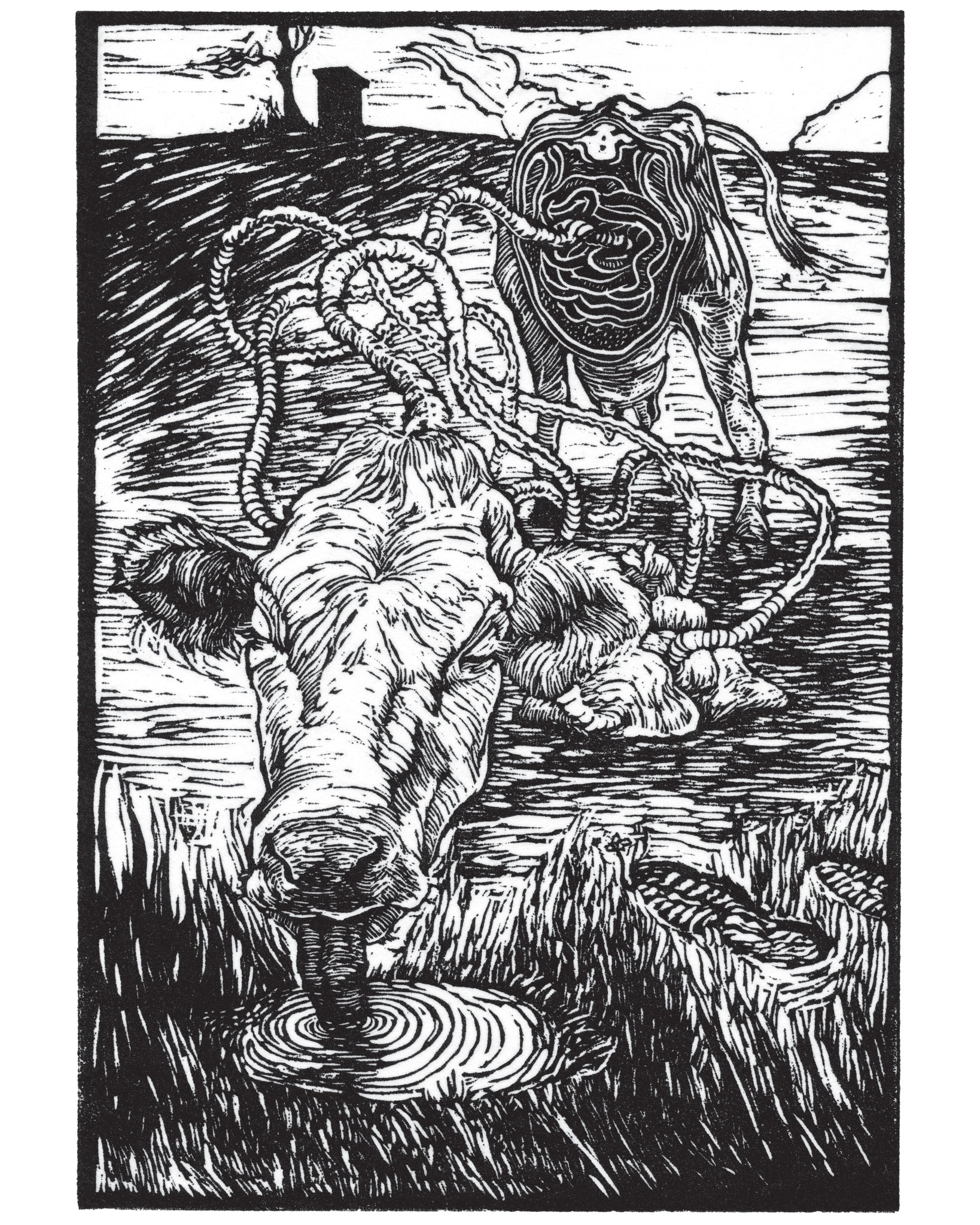 Maximilian Koch, Durch die Kuh, 2023, Linolschnitt
