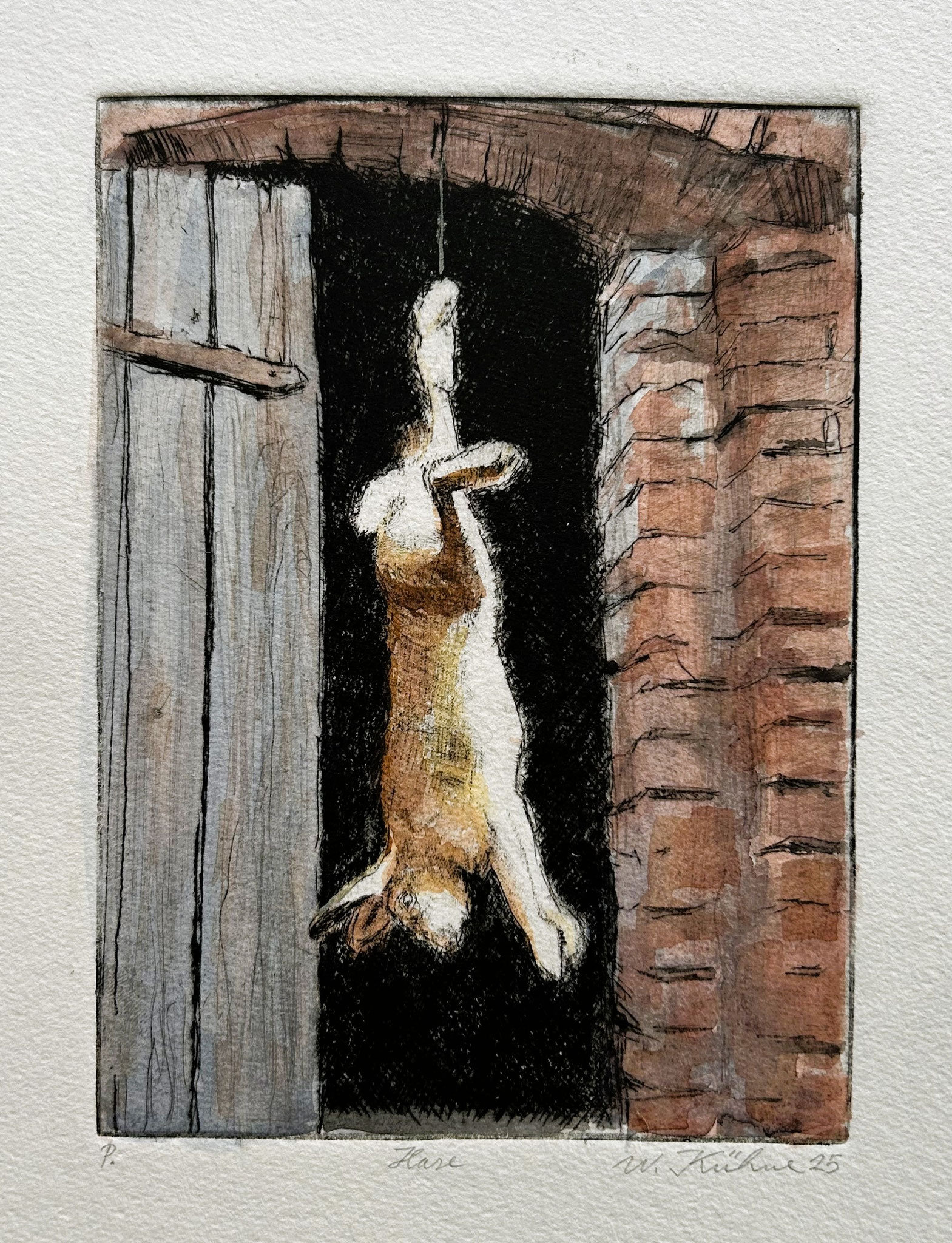 Wolfgang Kühne, Hase, 2025, Kaltnadelradierung-Aquarell