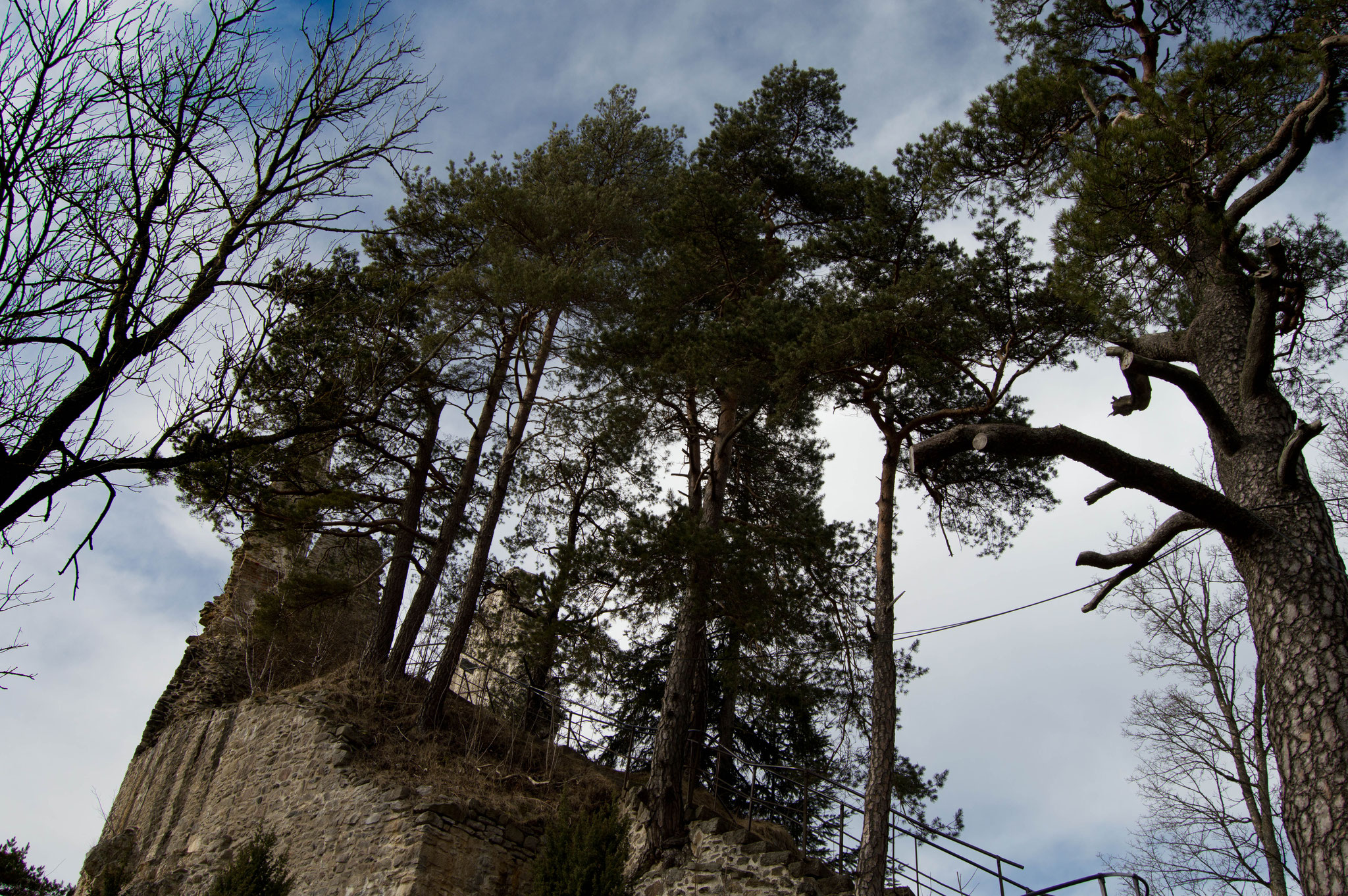 Burgruine Weißenstein - Regen