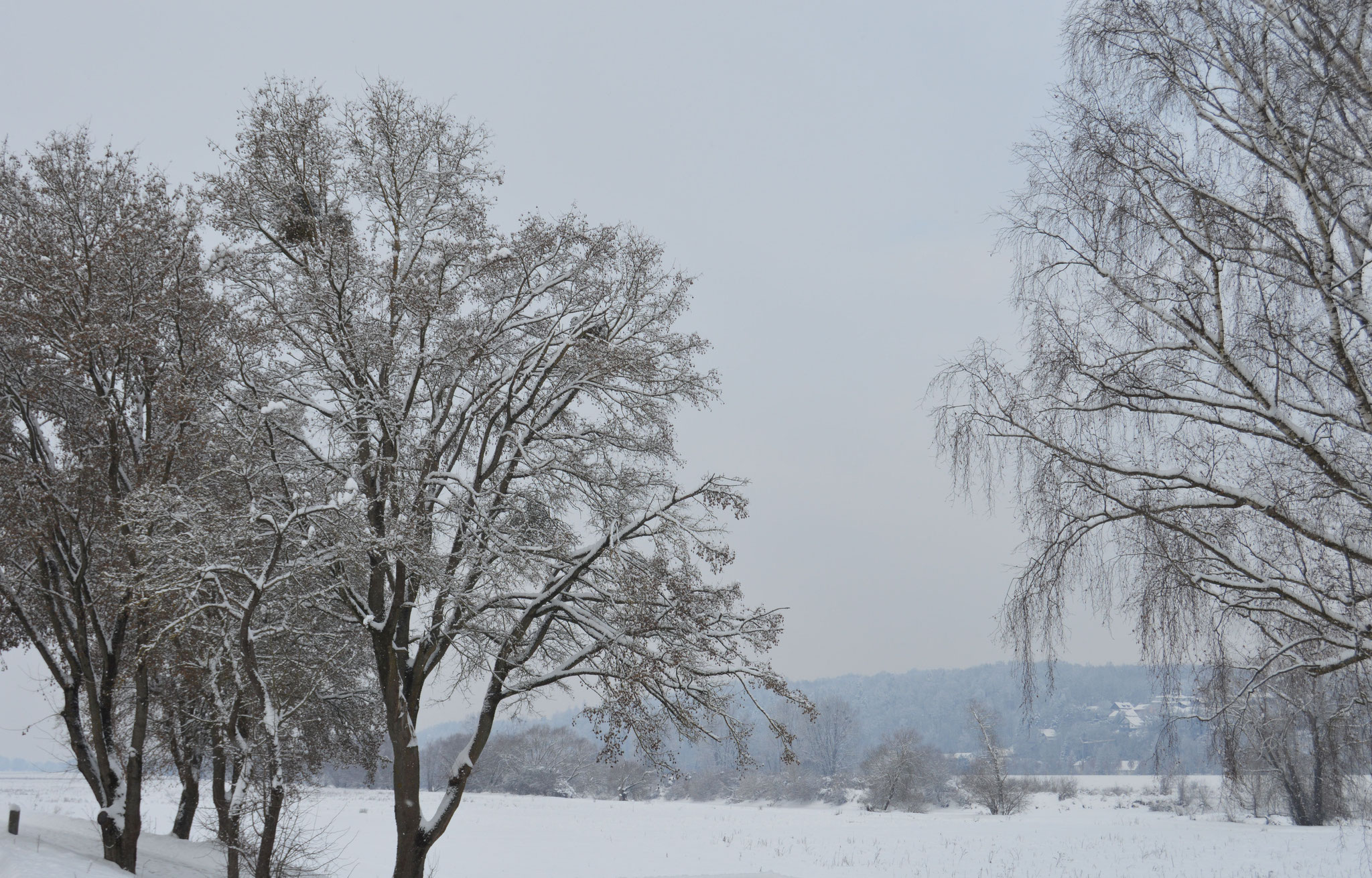 Donau Deggendorf