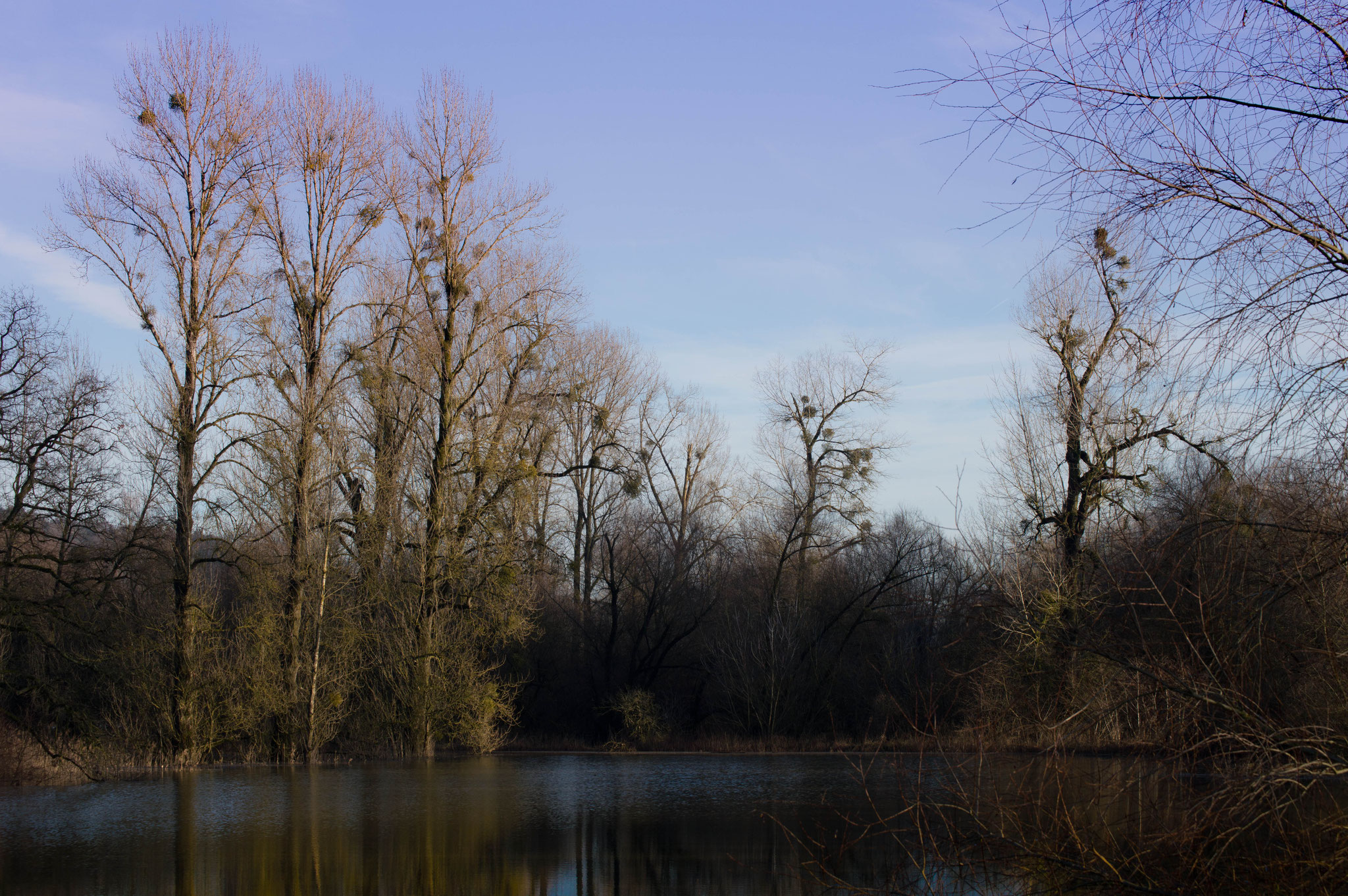 Isar Plattling