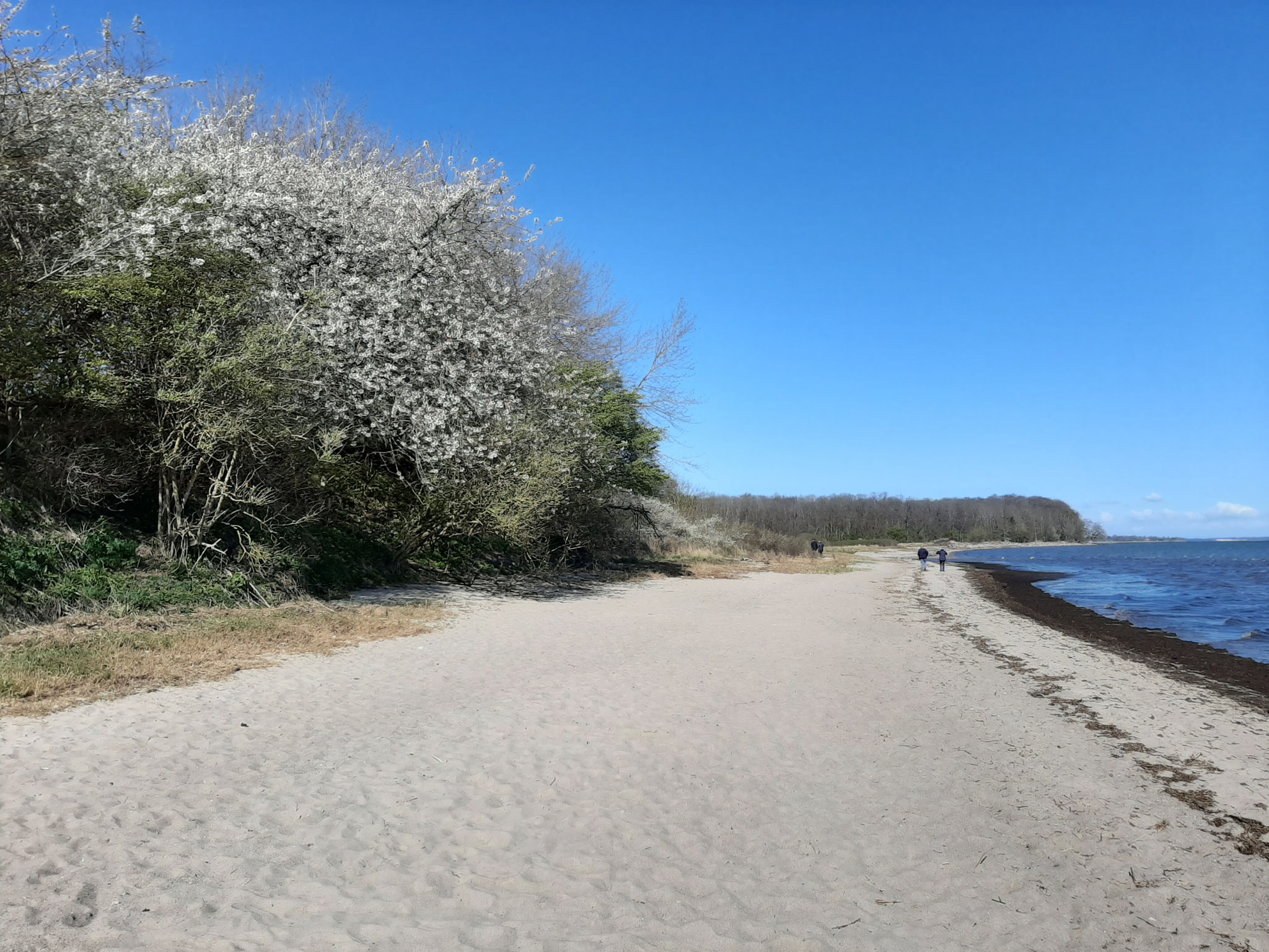 Unser Naturbadestrand ca. 800m