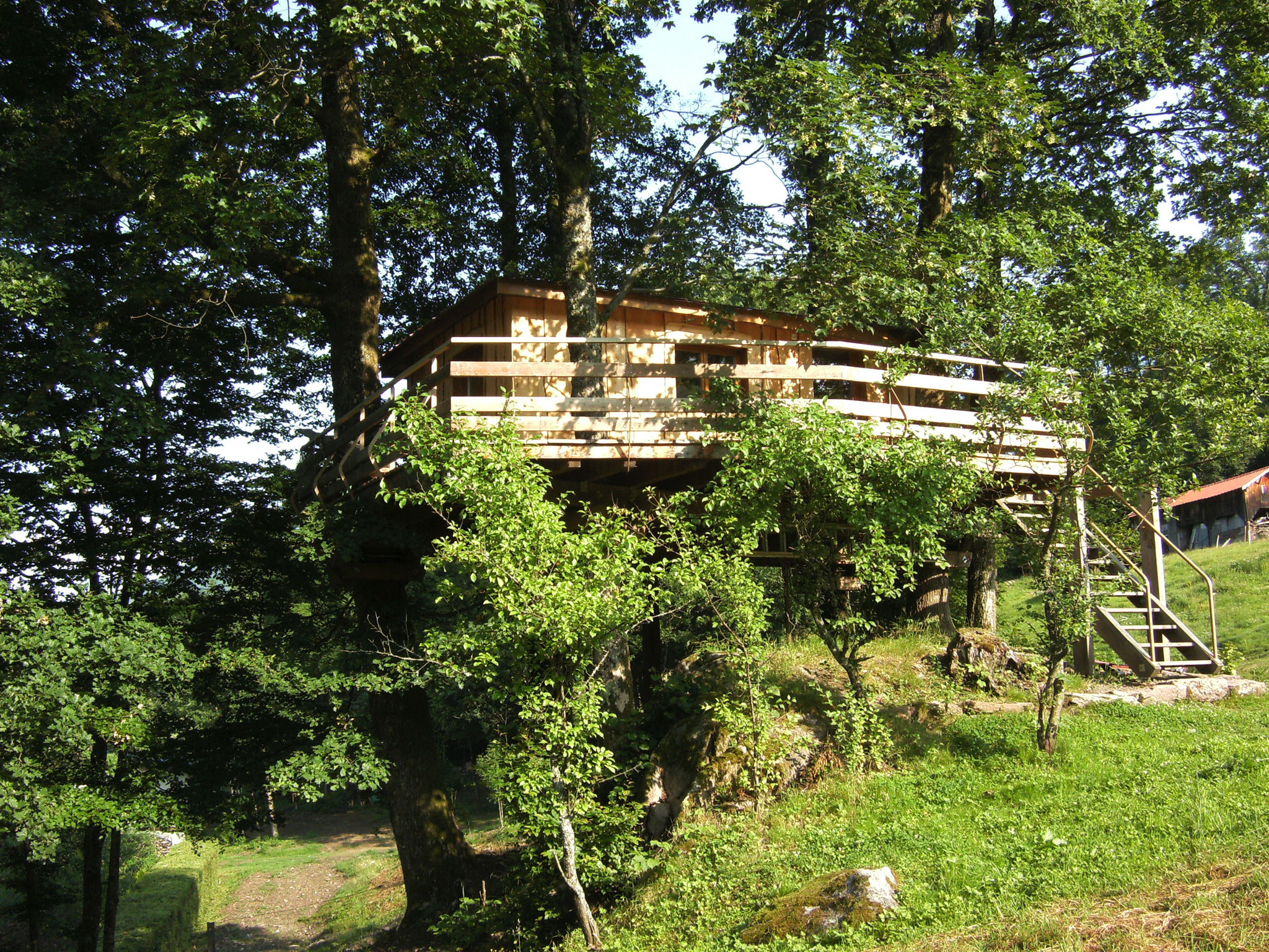 La Cabane dans les arbres domaine du Châtelet Ferdrupt Vosges